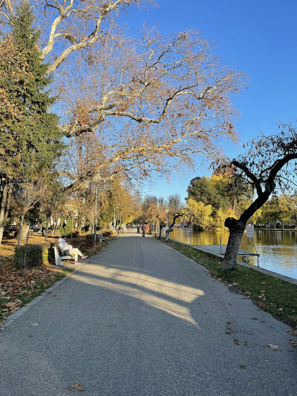 a park bench sitting on the side of a road next to a lake