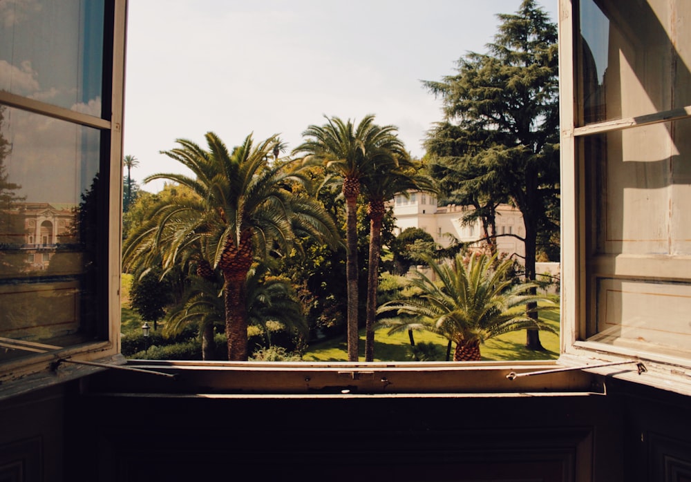 a window with a view of palm trees outside