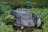 A memorial site featuring a large rock with a plaque in front. The plaque is engraved with a dedication message. On top of the rock lies a folded American flag. To the right, a small American flag is planted in the ground, and on the left, there is a pot of yellow flowers and an additional yellow flower placed on the ground. The background and surroundings are filled with green foliage and natural vegetation.