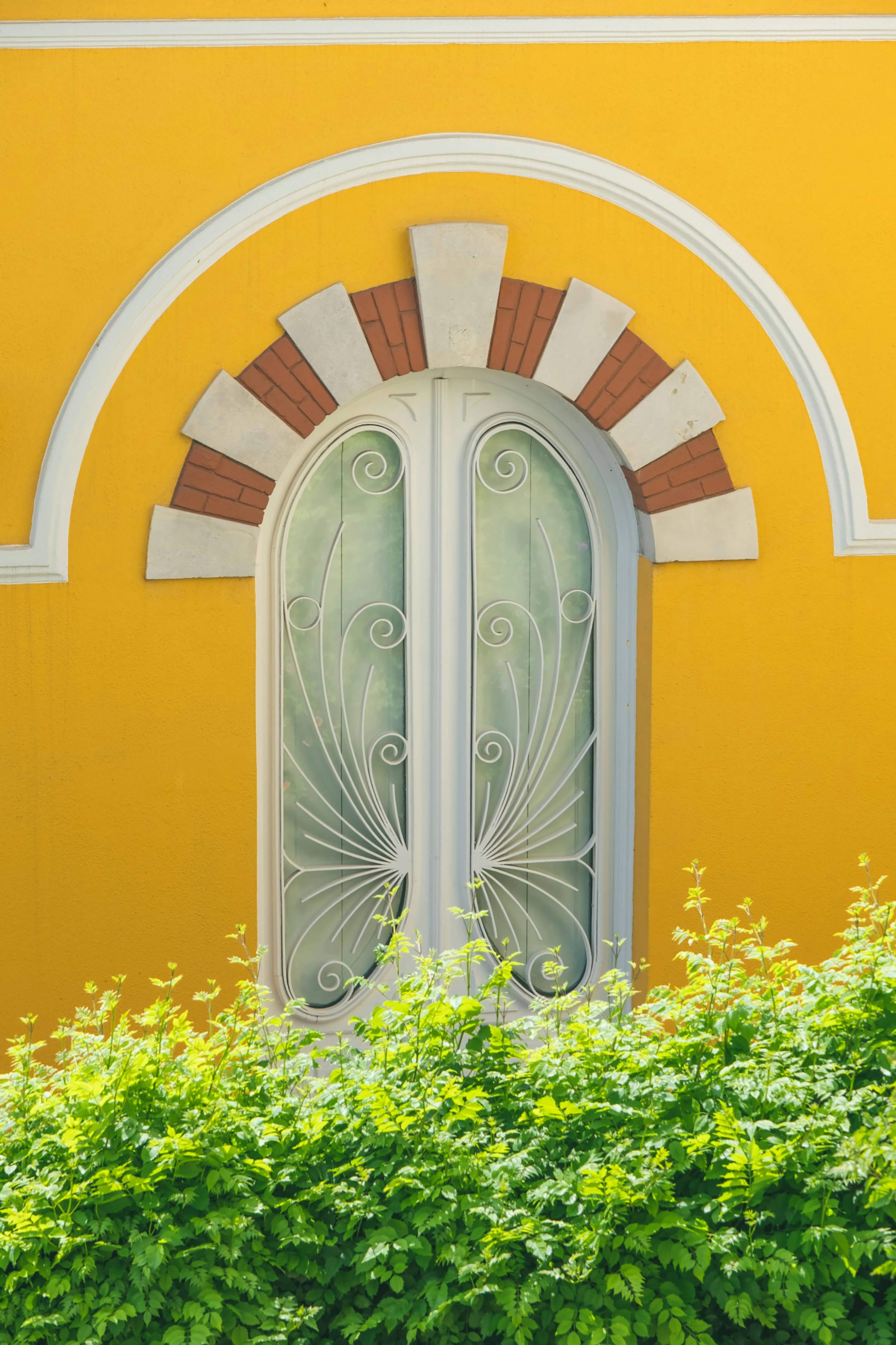 Photo by freguesiadeestrela