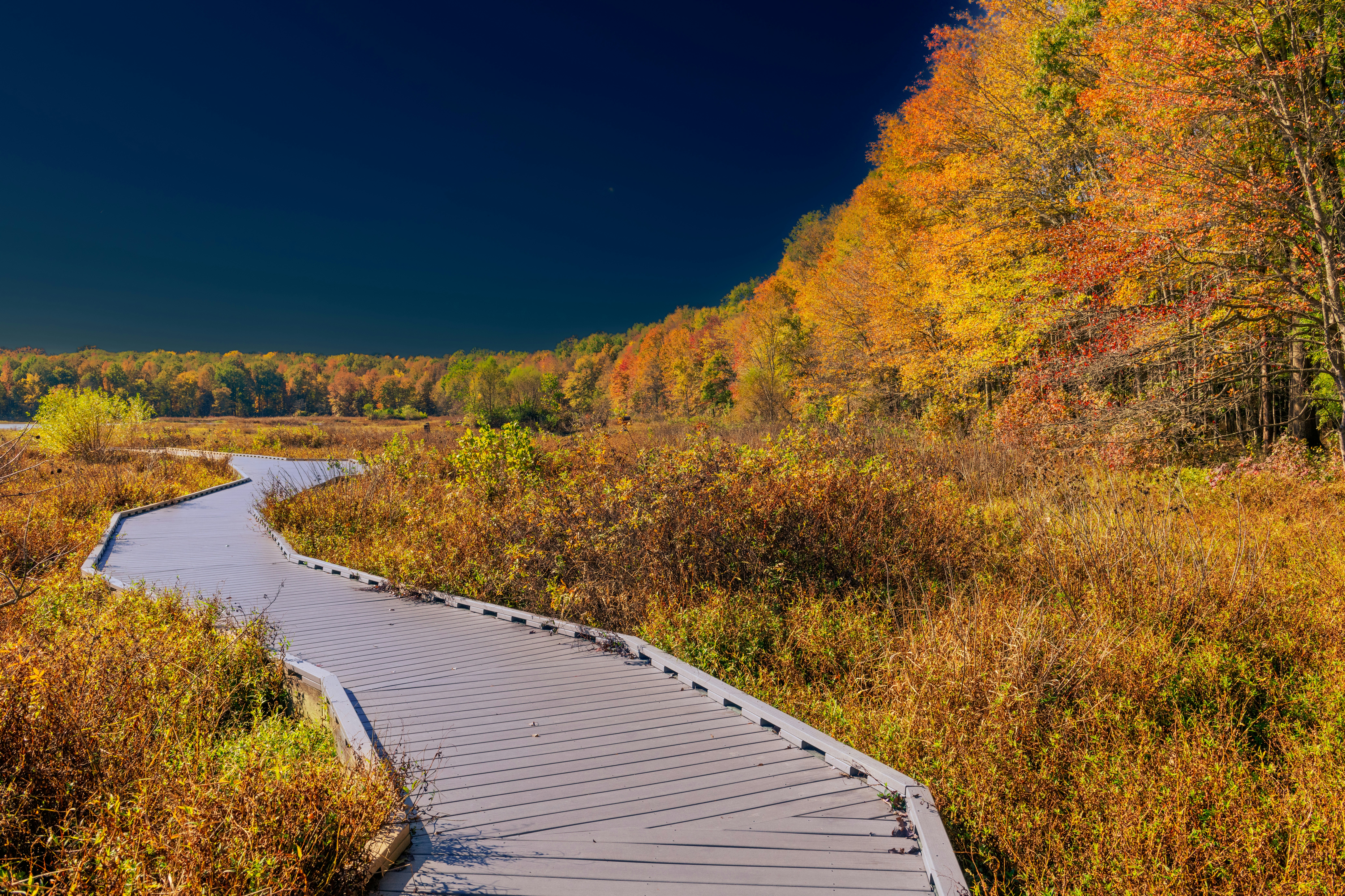 Lockheed Martin Corporation (B-423294)