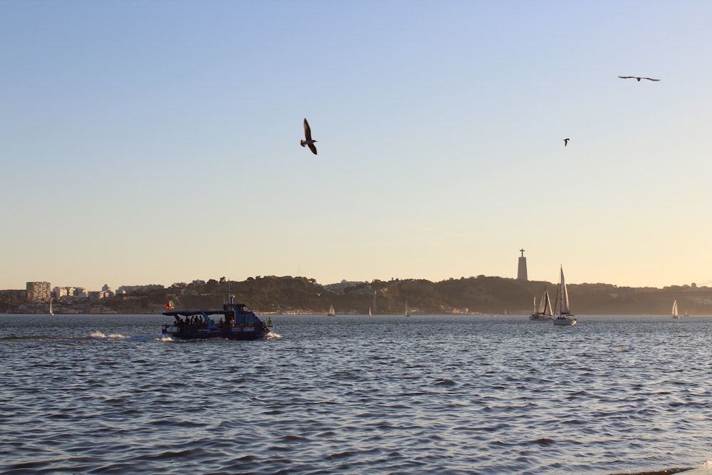 a bird flying over a body of water