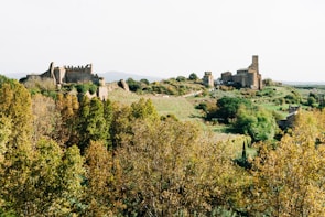 An epic castle fortress surrounded by lush forests in the nlesmp world