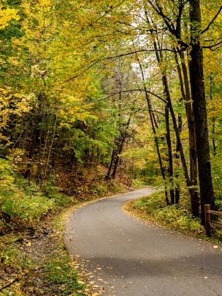 Sustainability Accountability Community Growth #GoGreen #GoVerde