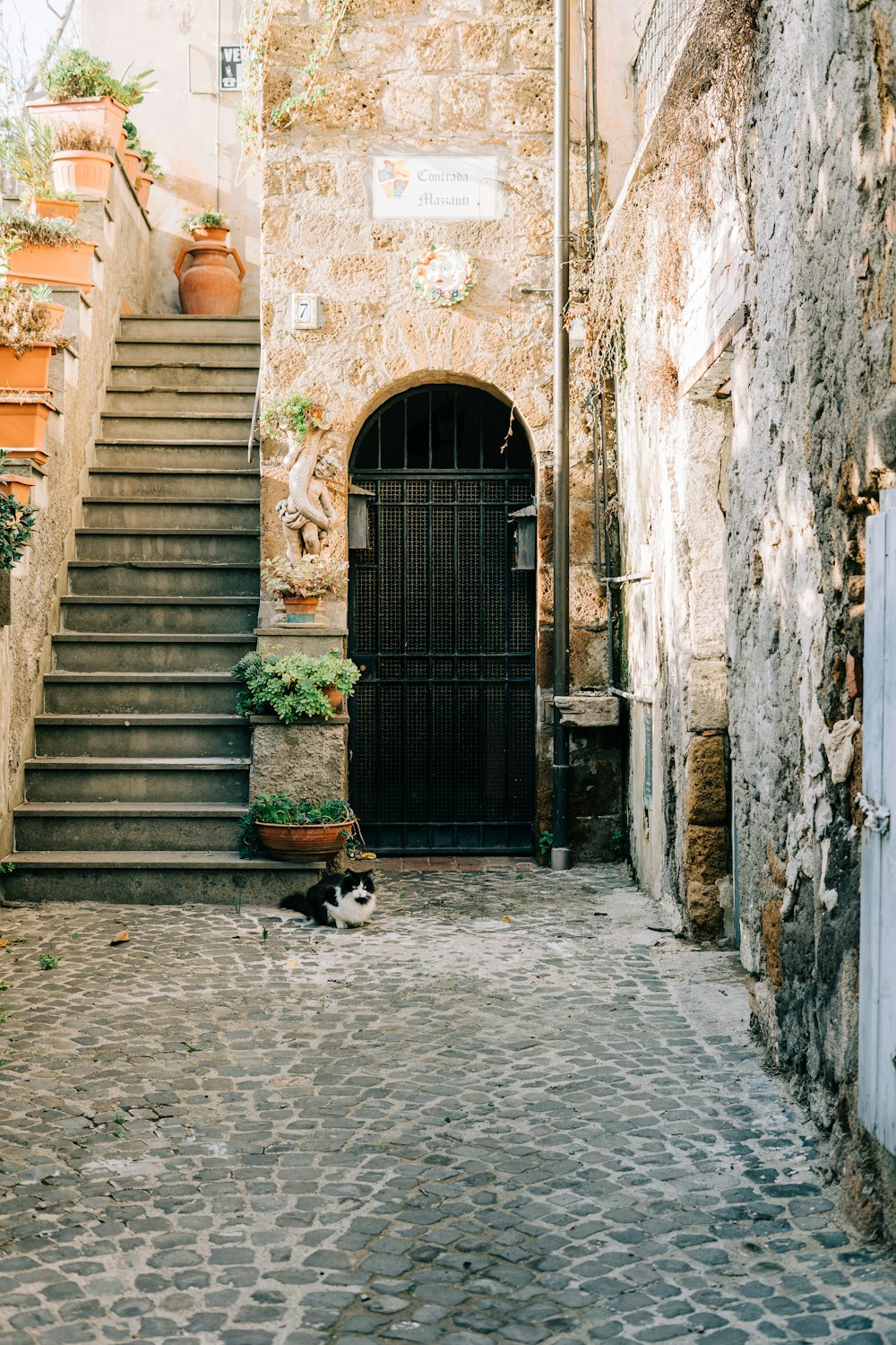 a cat laying on a cobblestone street next to a set of stairs