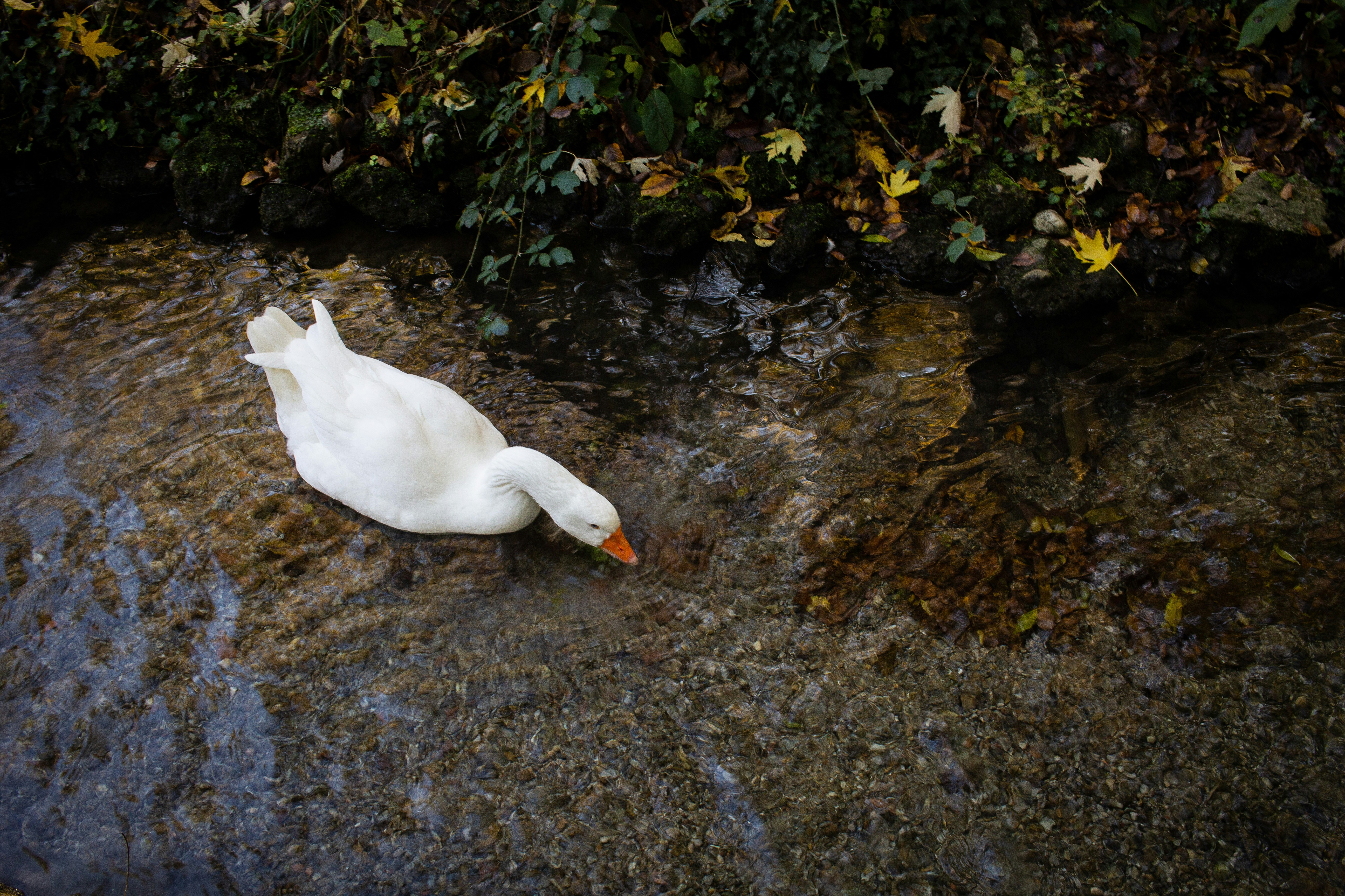 Photo by valentina_locatelli