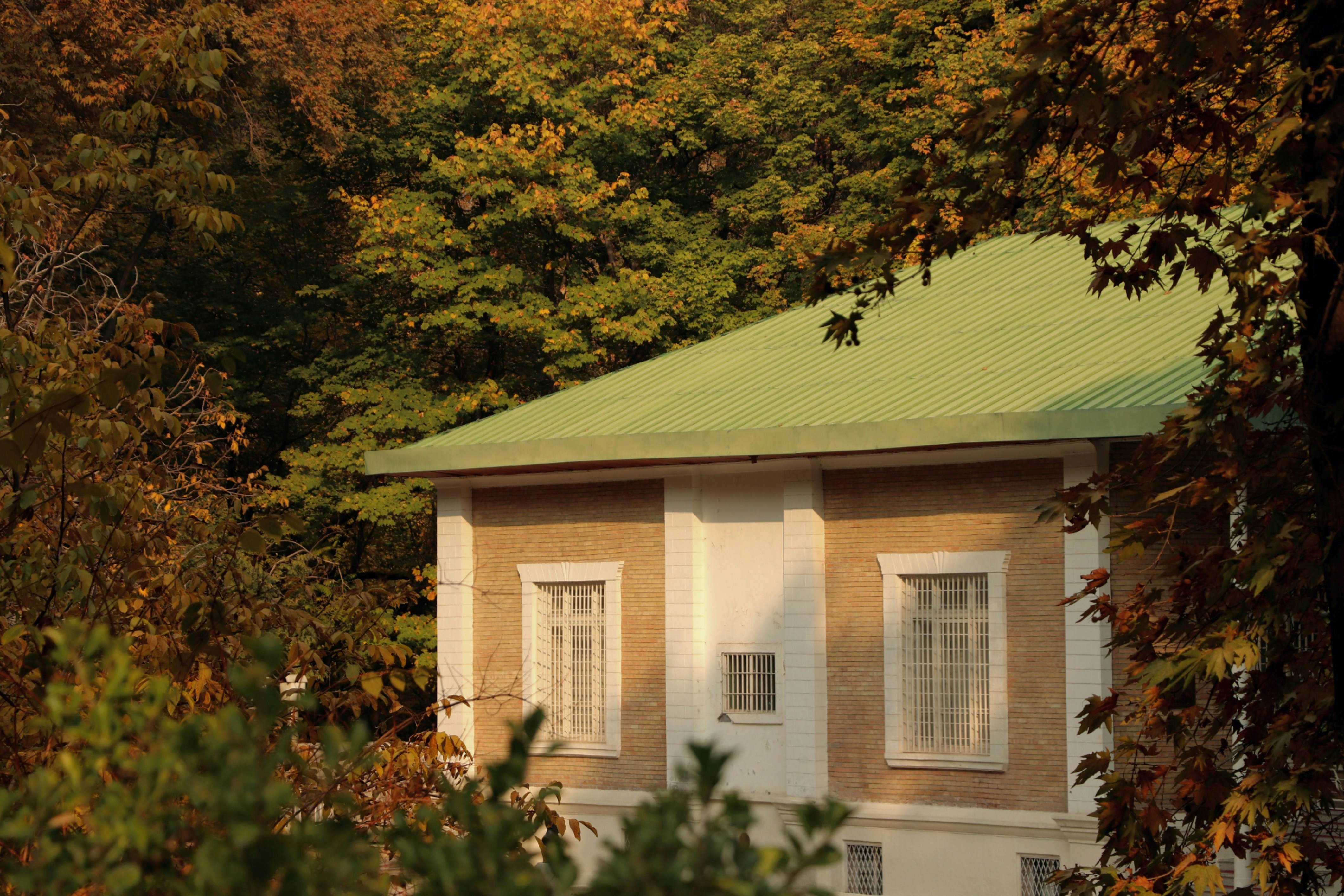 Photo by mahyar_mirghasmi