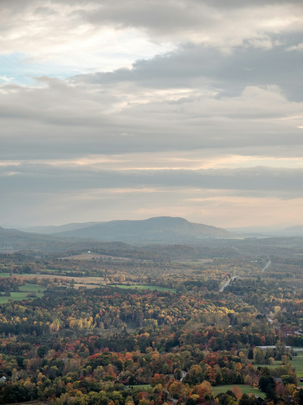 a scenic view of a valley with trees in the foreground