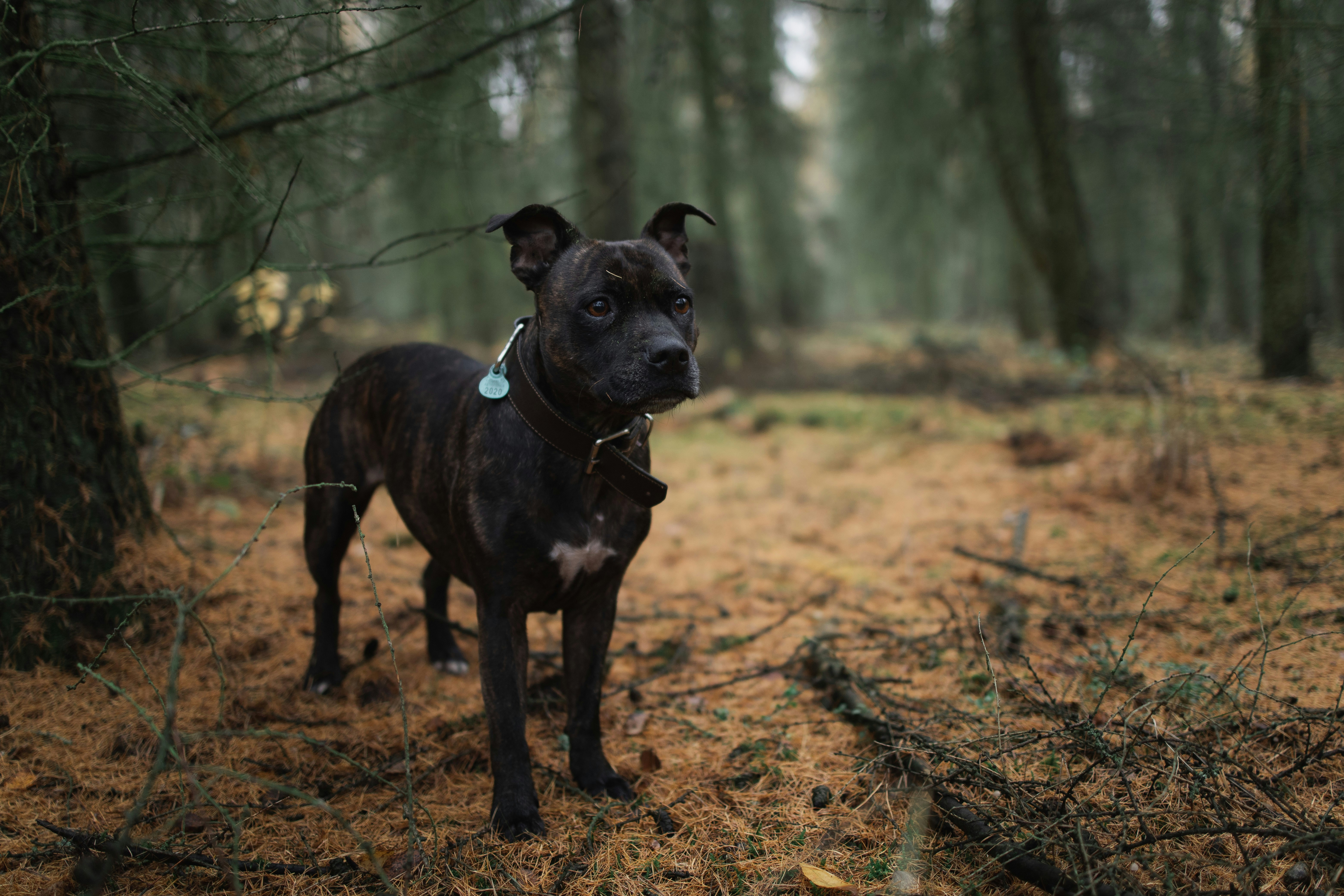 Photo by victor_vector