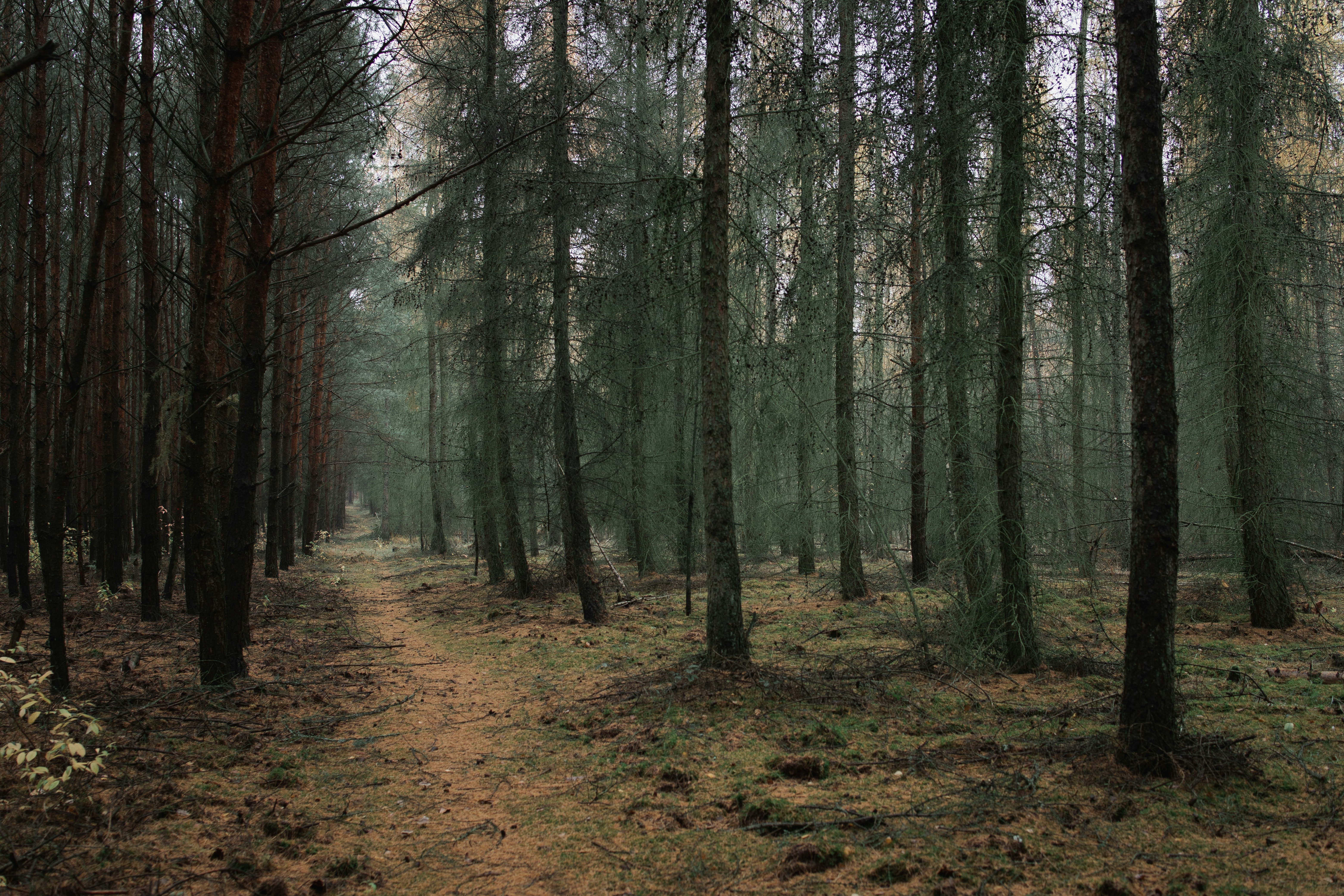 Photo by victor_vector