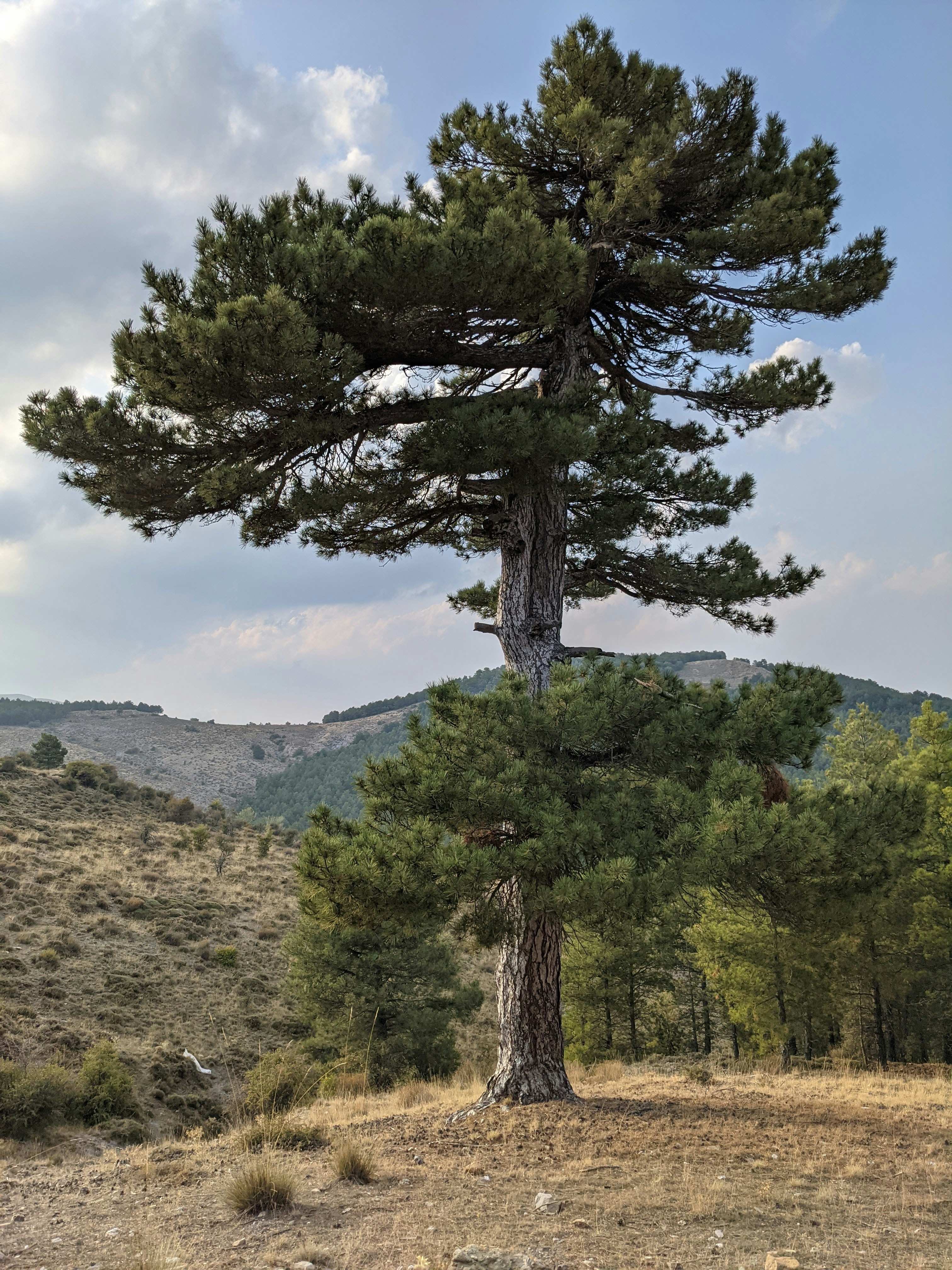 Photo by planimetrica