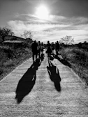 Men walking together along a path from deep shadows into bright sunlight.