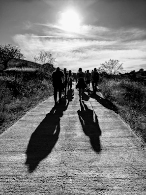 Men walking together along a path from deep shadows into bright sunlight.