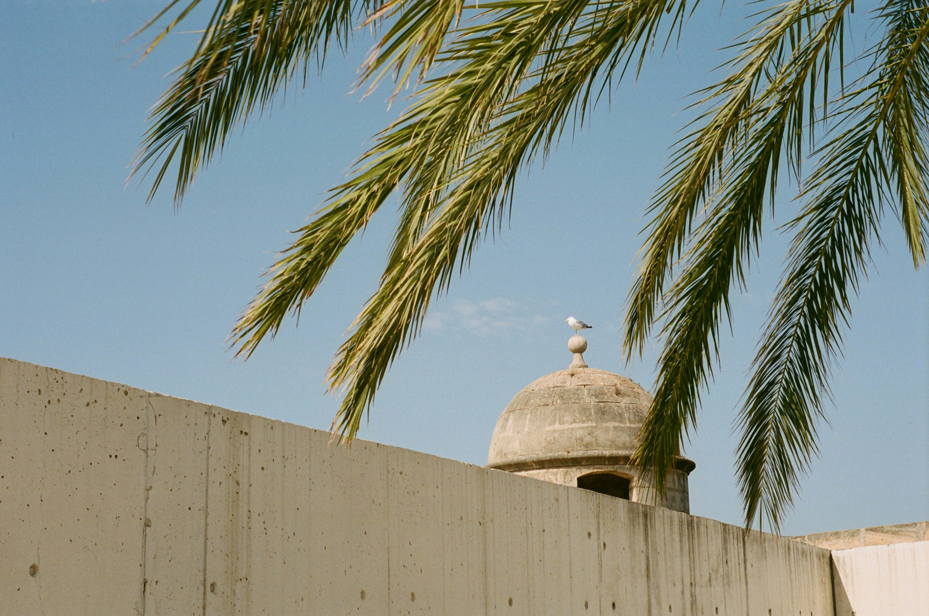 Photo by jeancarloemer