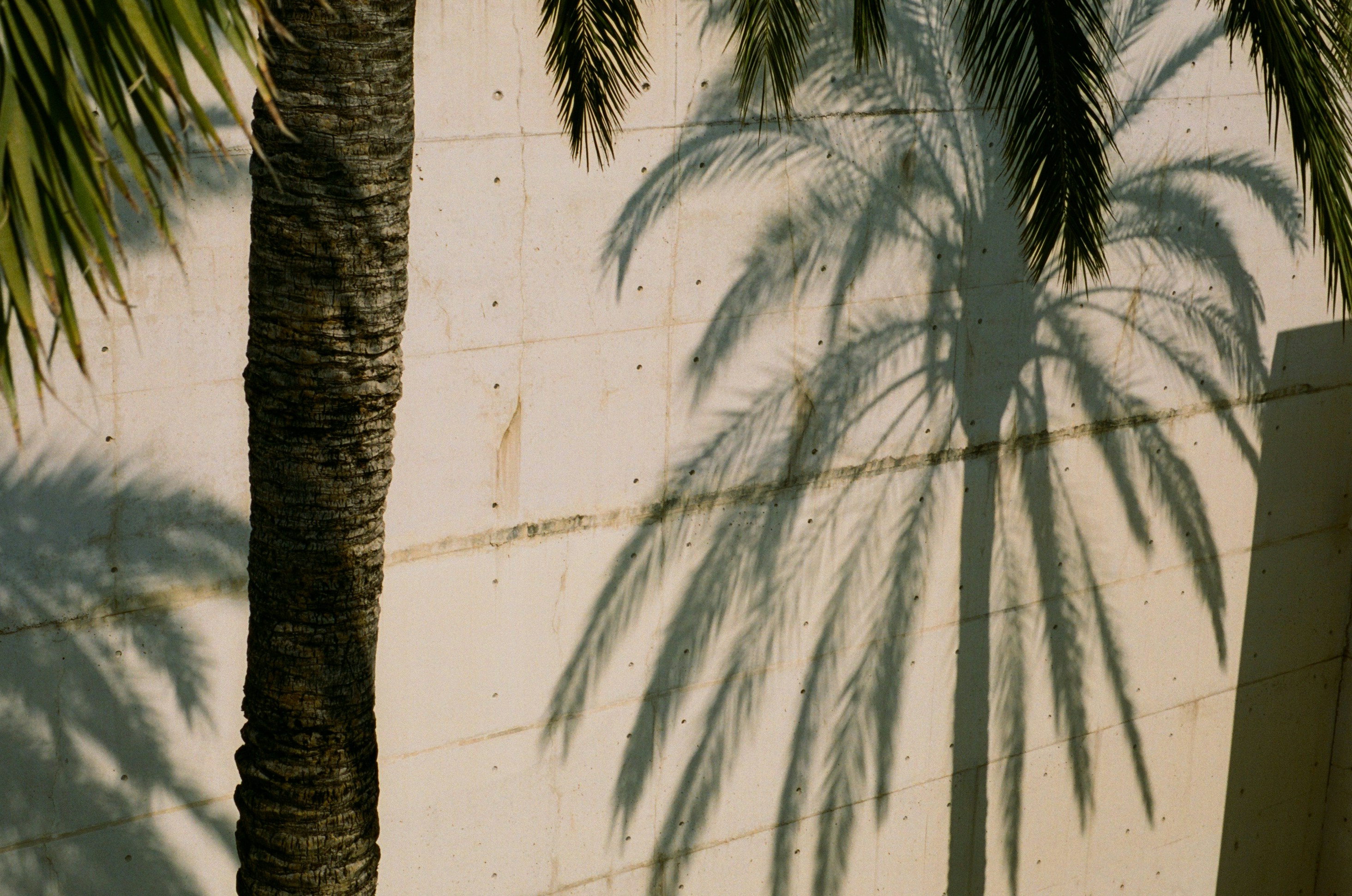 Photo by jeancarloemer