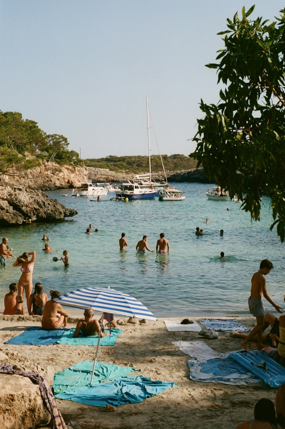 a group of people are on the beach