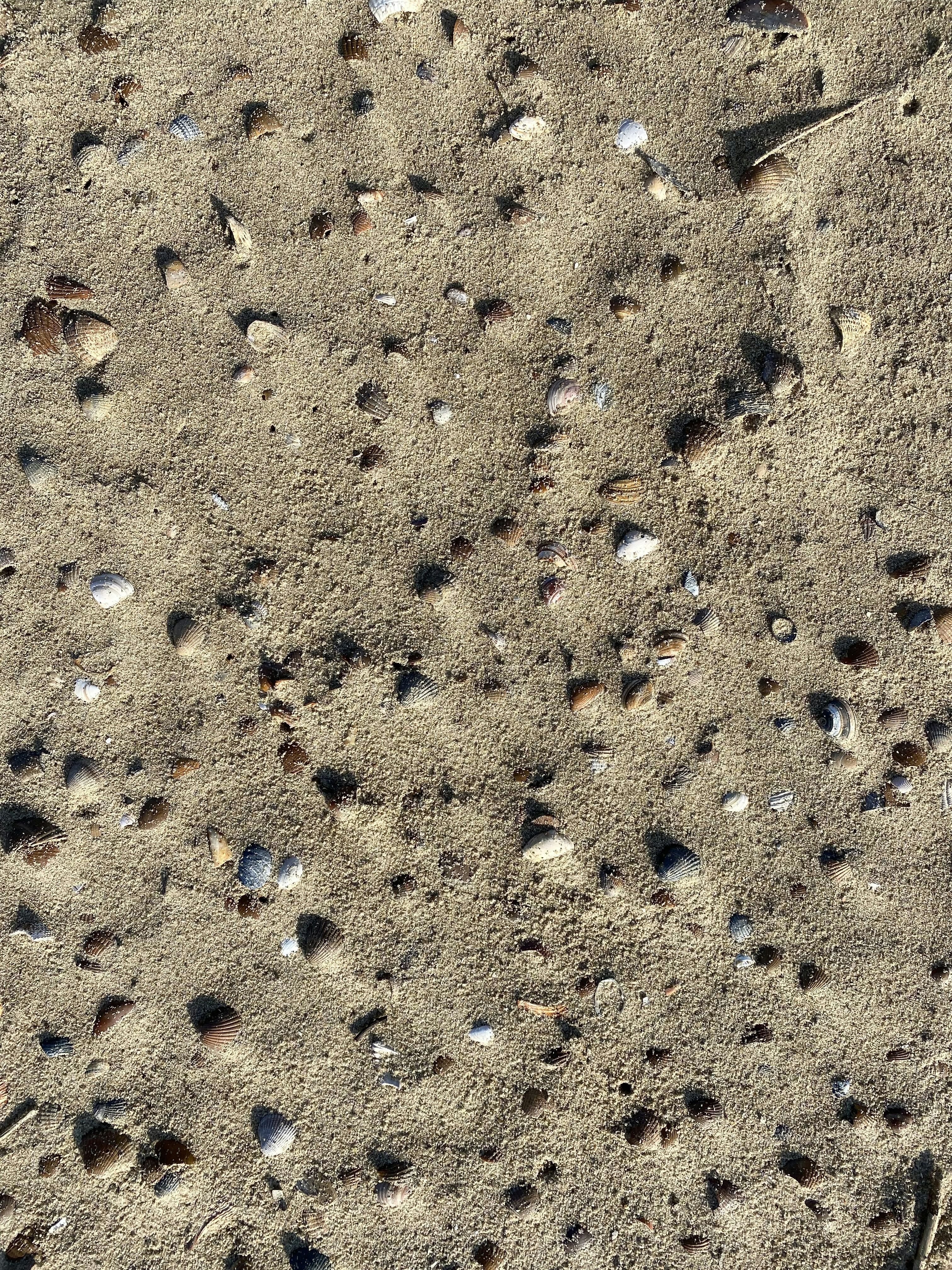 Photo by majakarolina