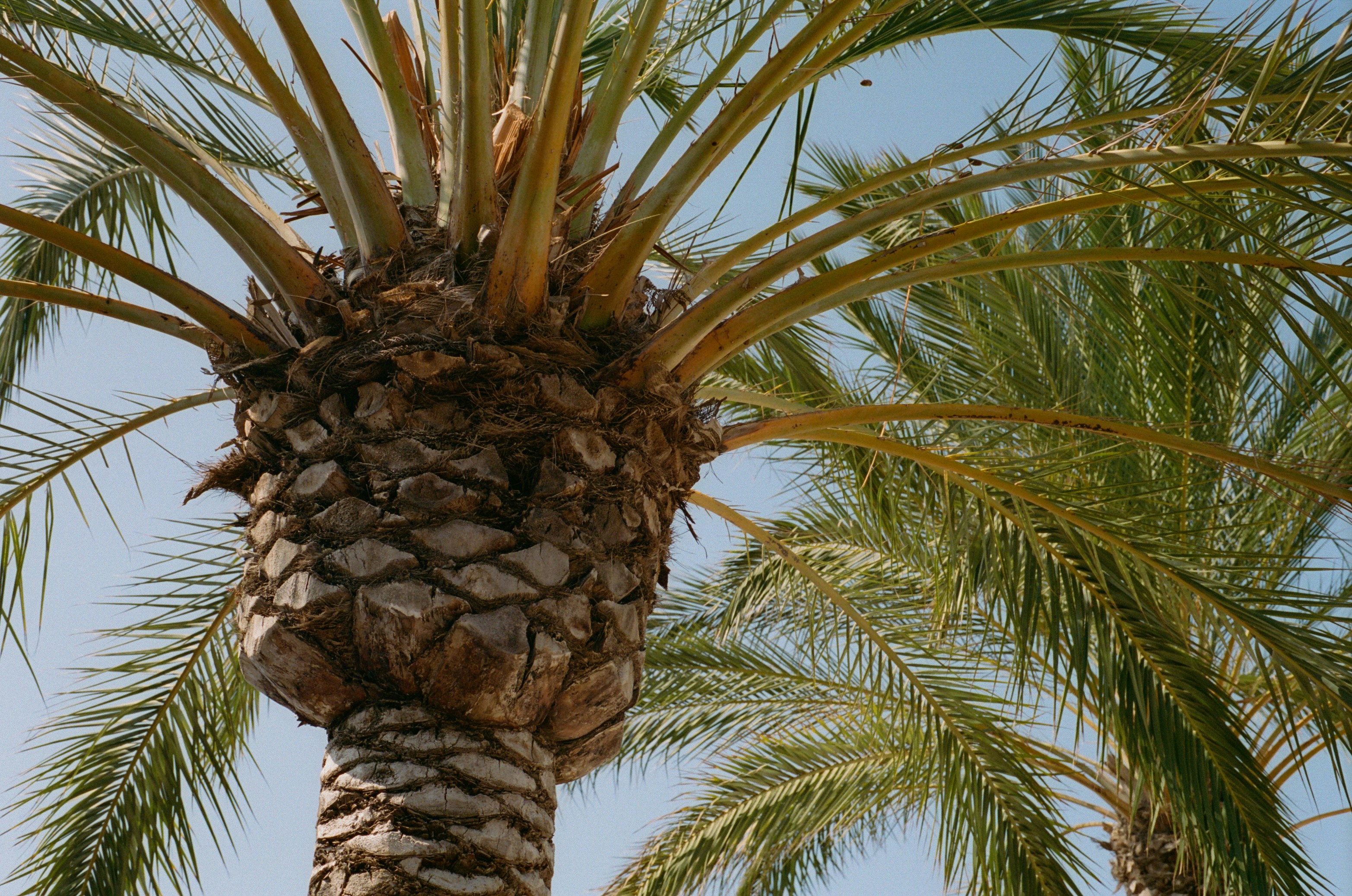 Photo by jeancarloemer