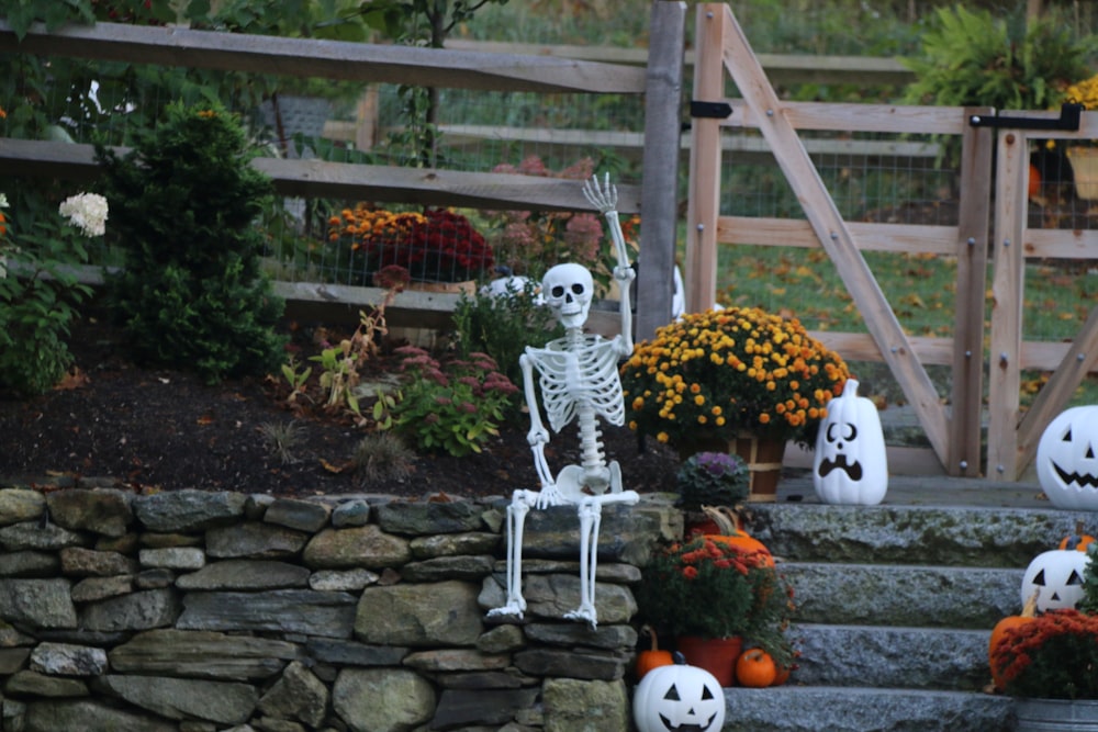 a halloween scene with a skeleton and pumpkins