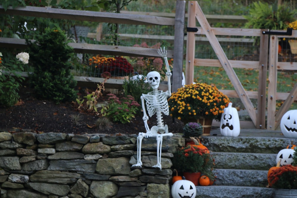 Eine Halloween-Szene mit Skelett und Kürbissen