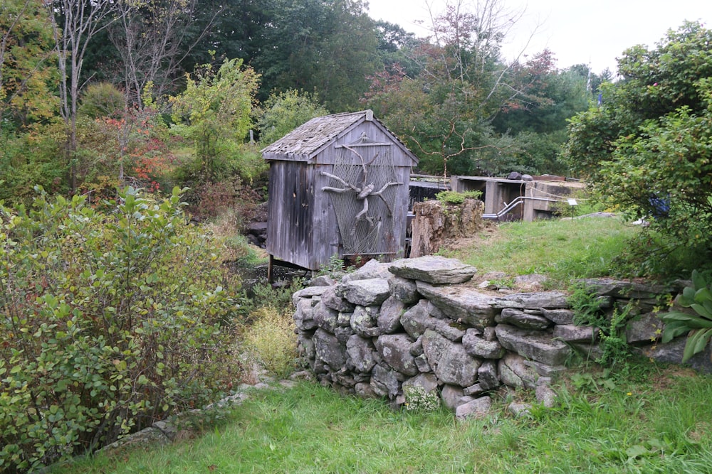 an old outhouse in the middle of a forest