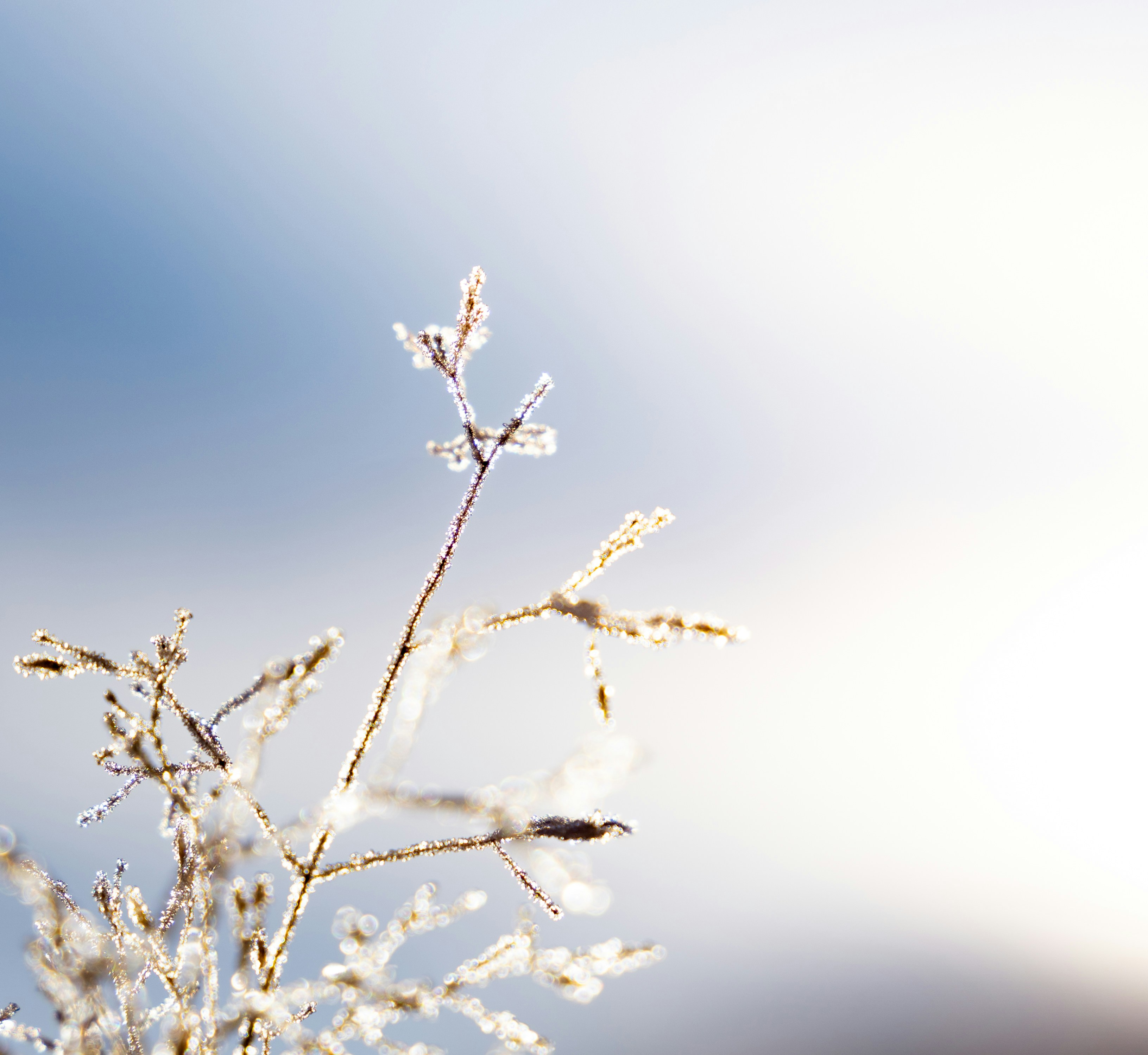 Photo by michielannaert