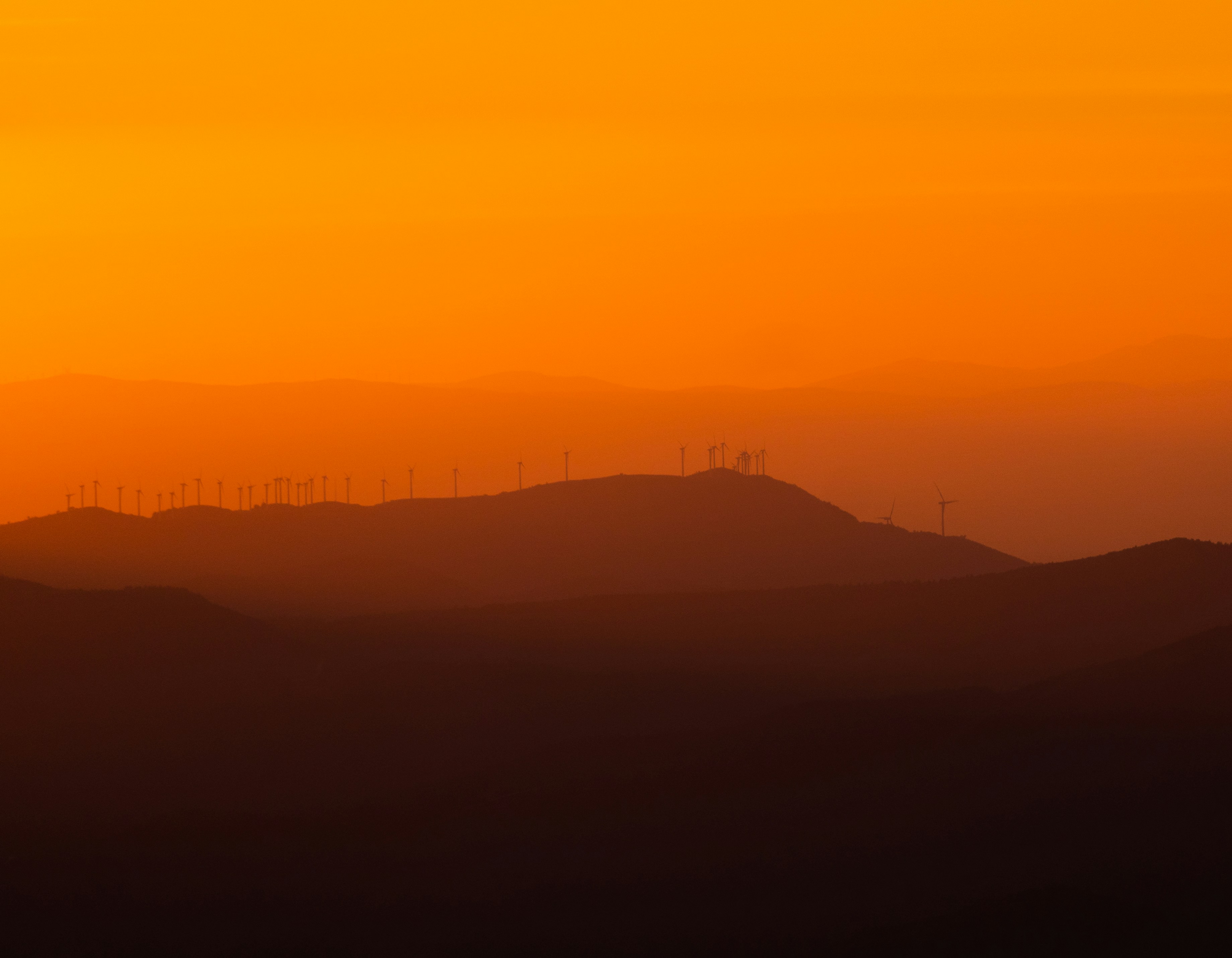 Photo by michielannaert