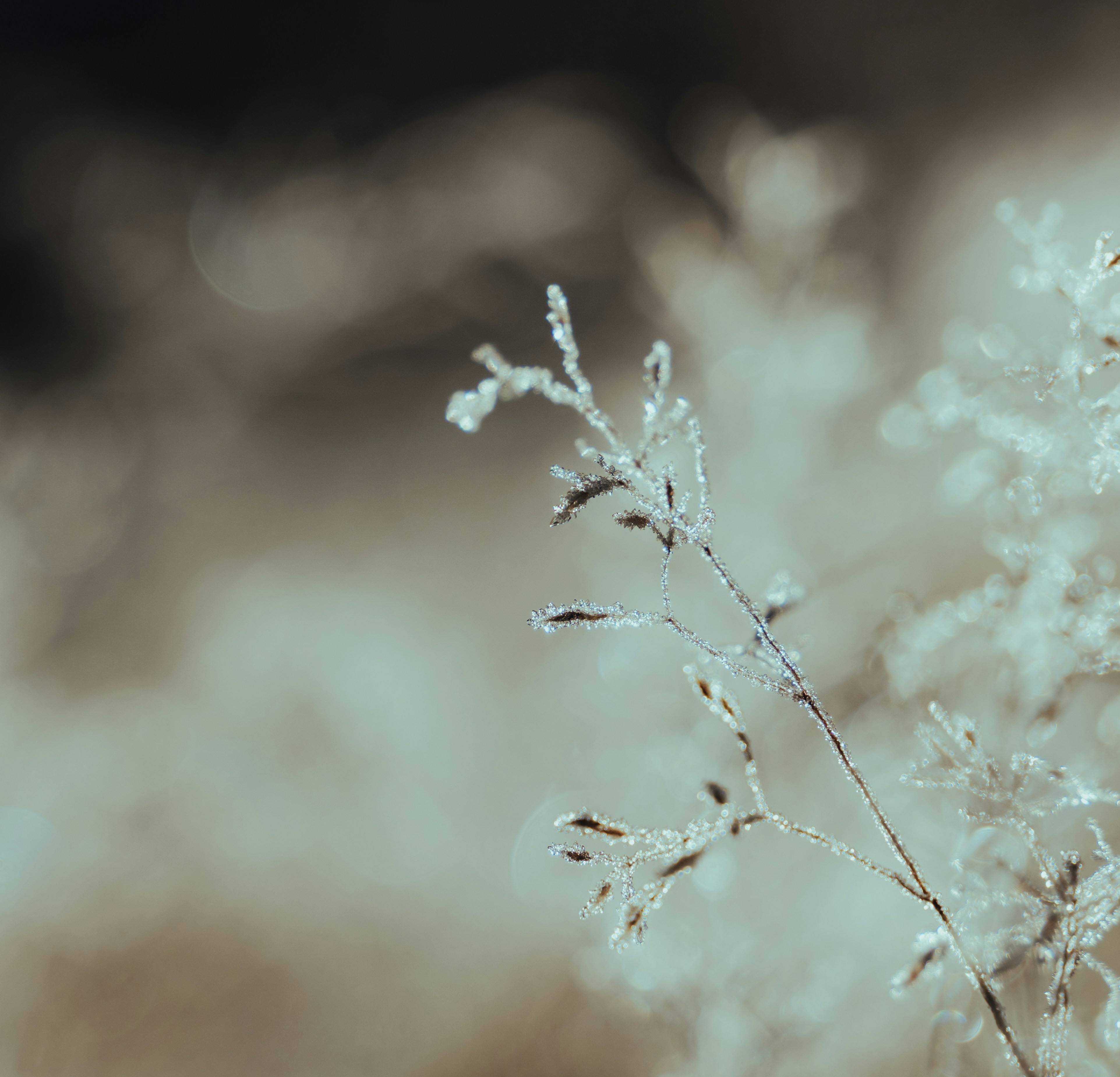 Photo by michielannaert