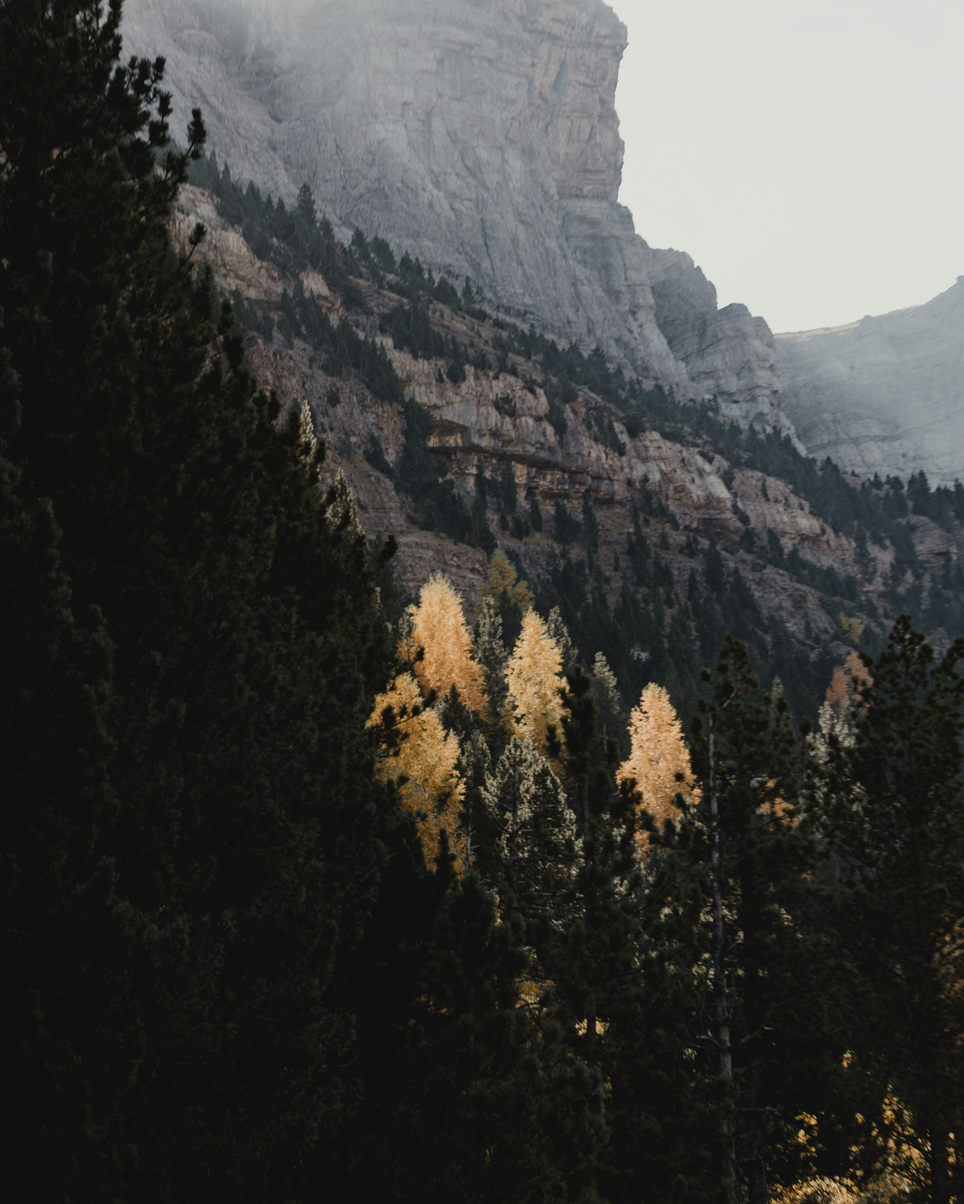 Photo by michielannaert