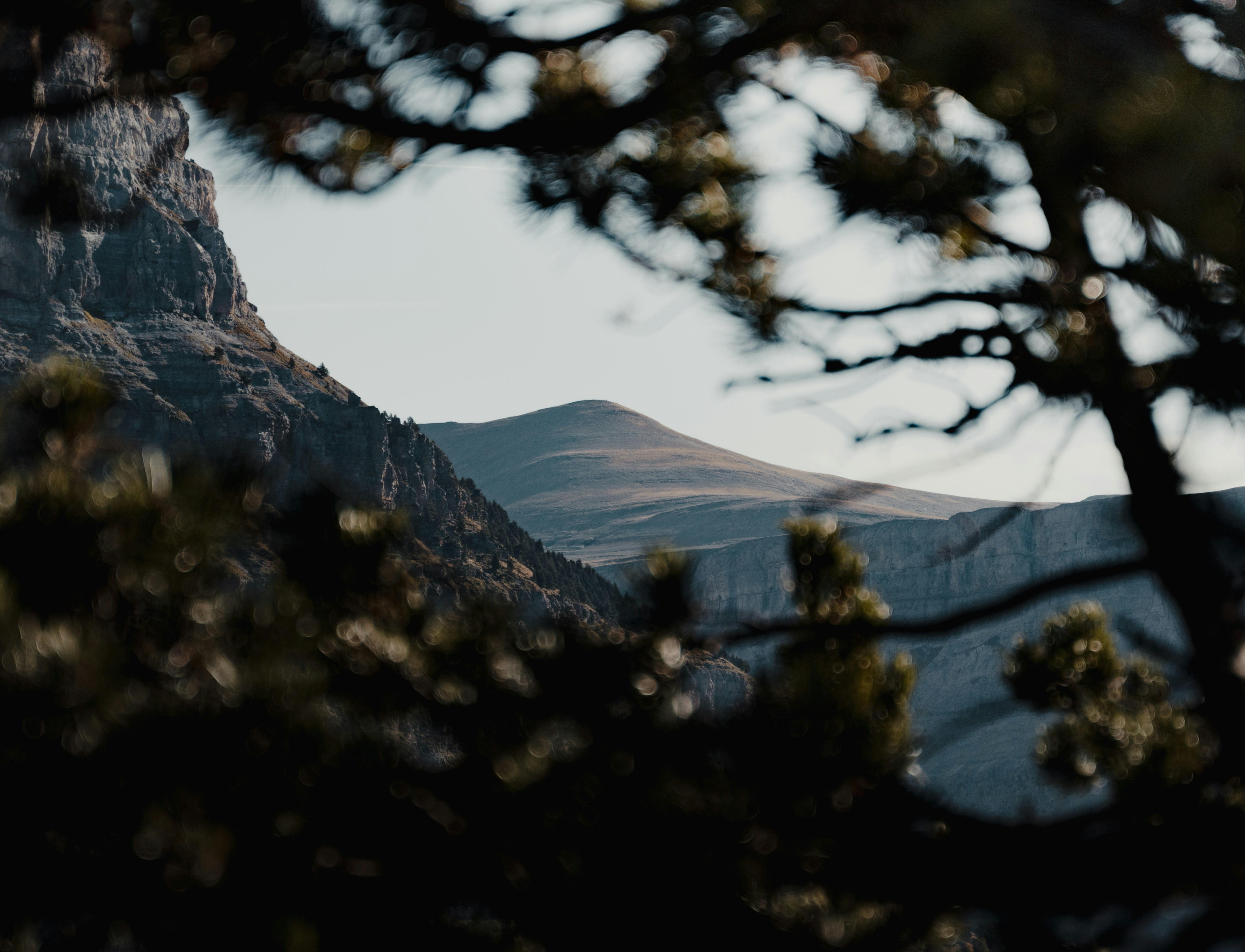 Photo by michielannaert