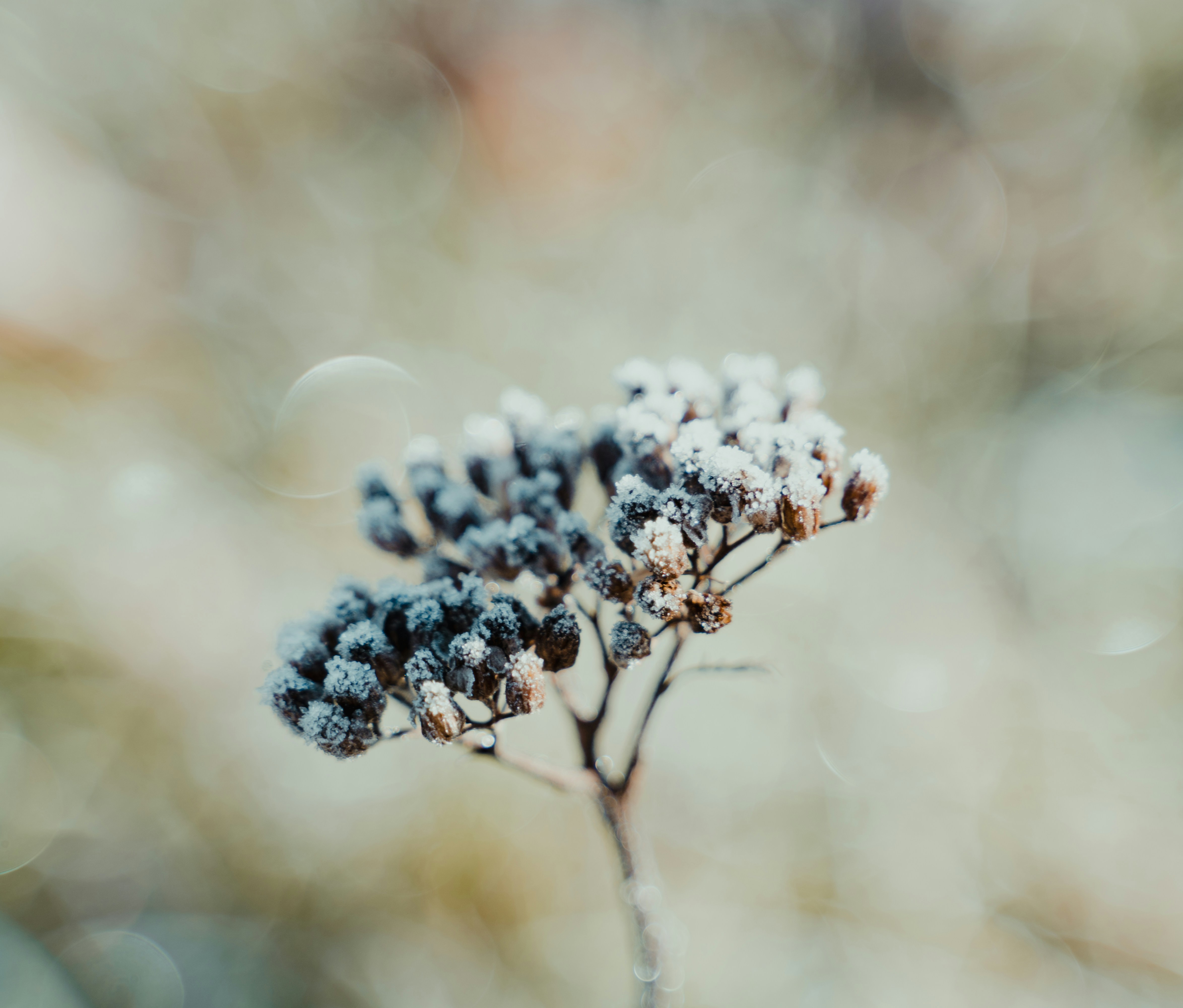 Photo by michielannaert