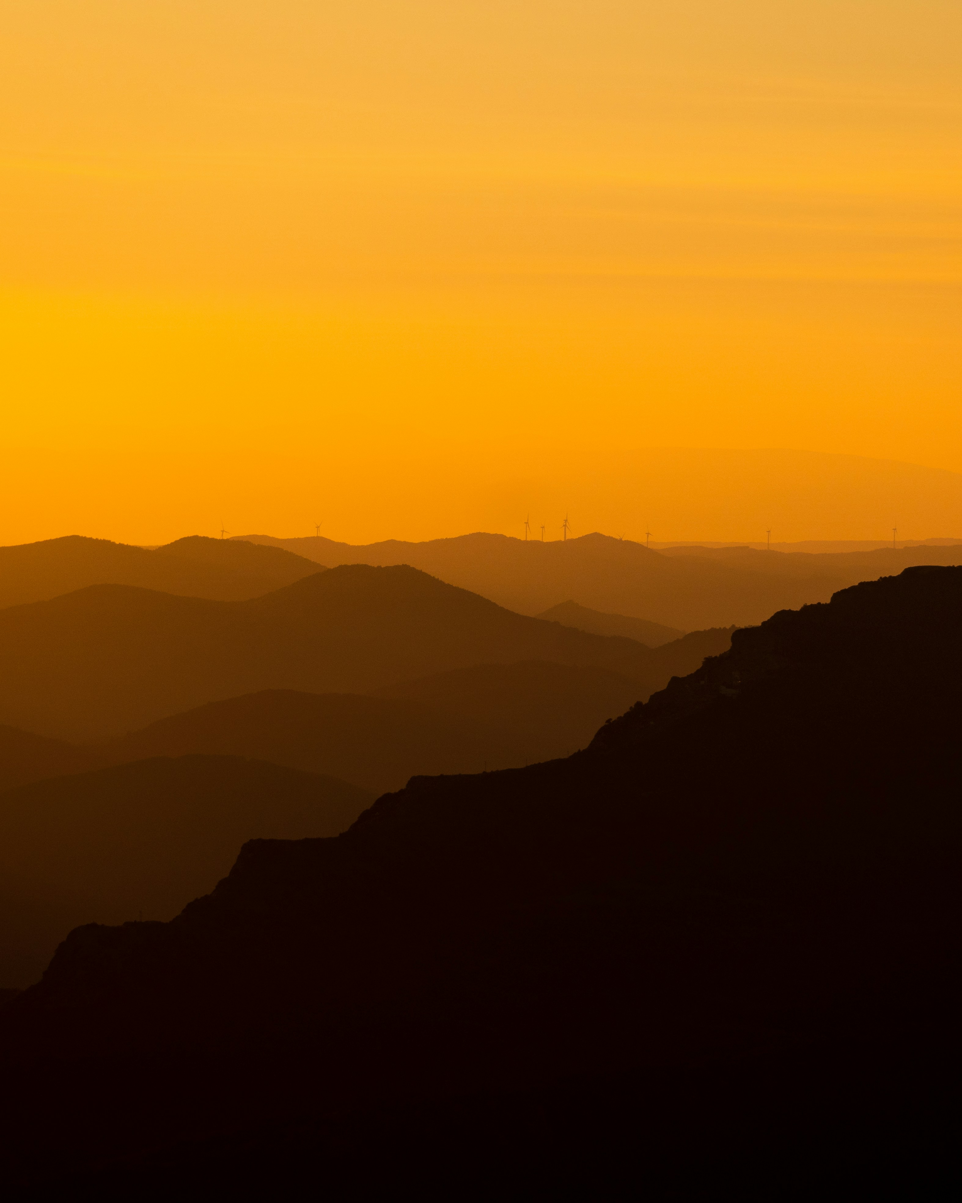 Photo by michielannaert