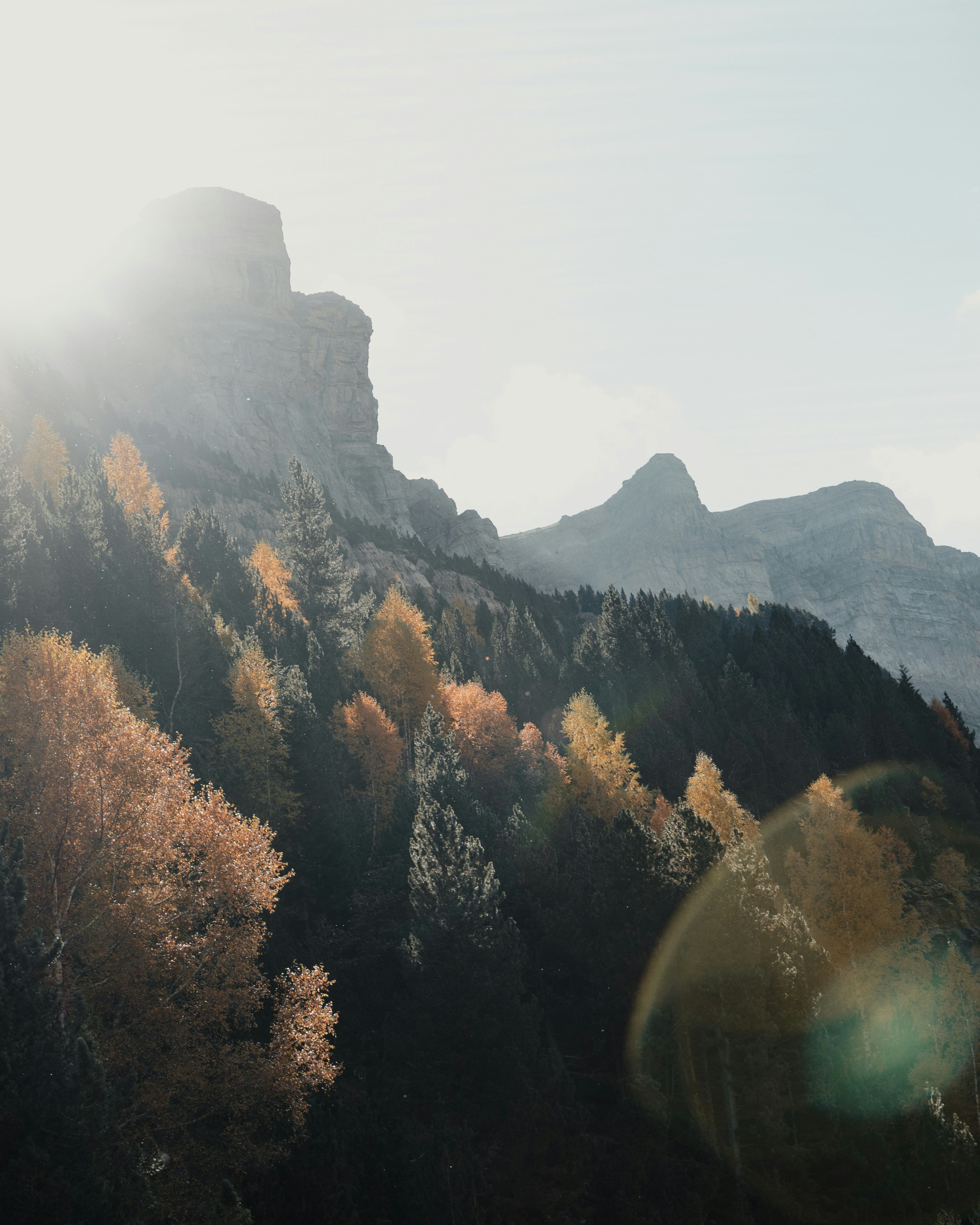 Photo by michielannaert