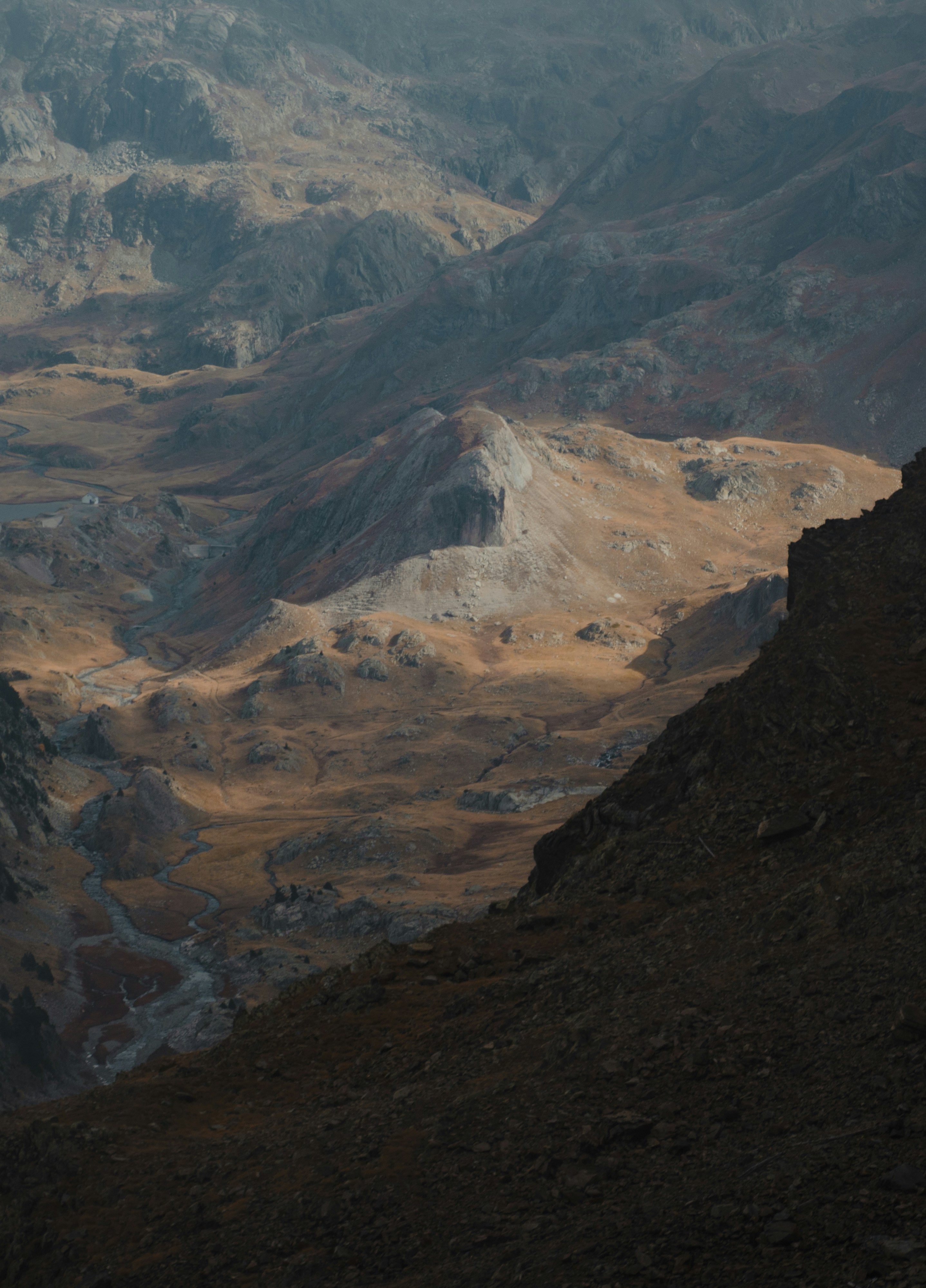 Photo by michielannaert