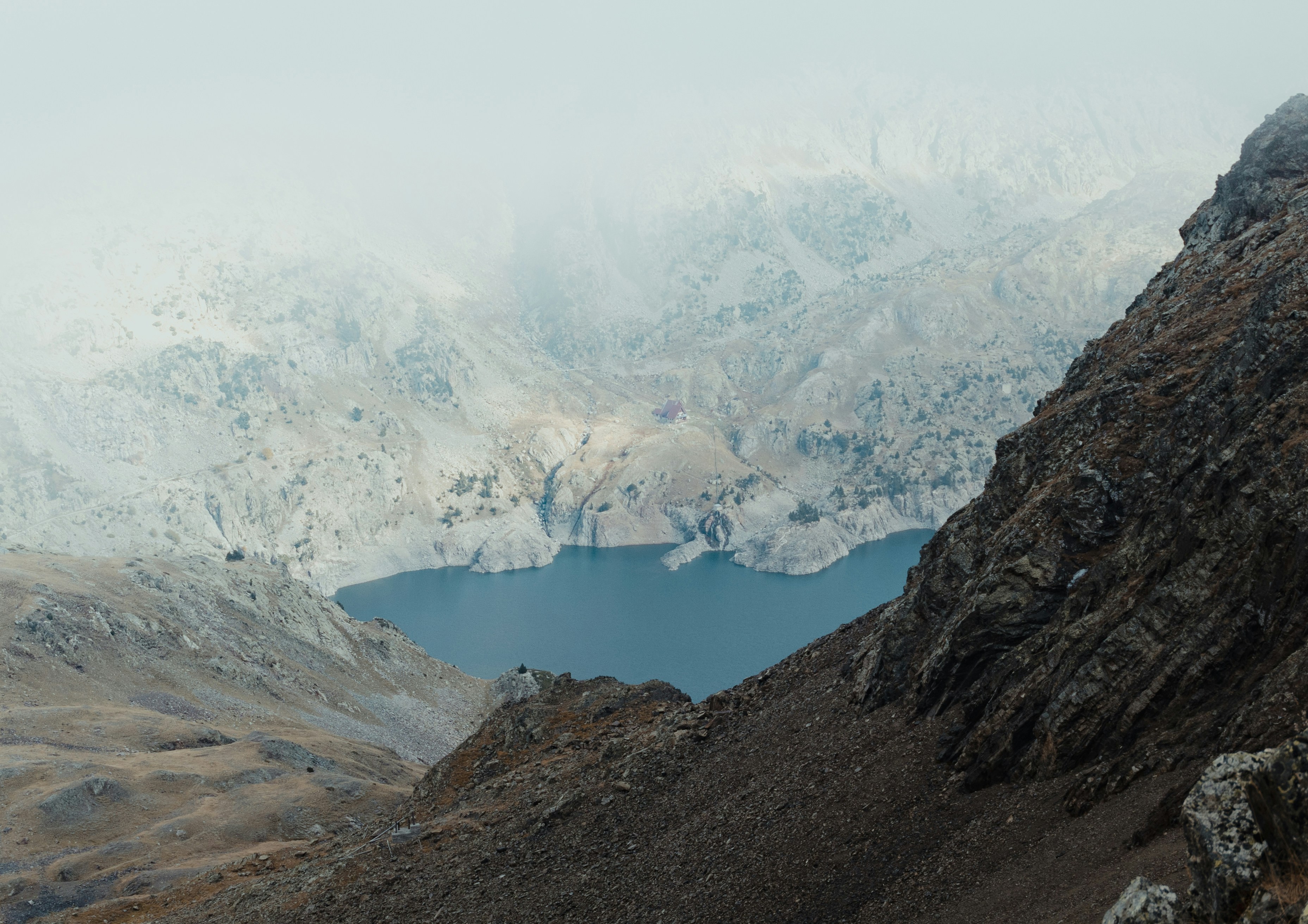 Photo by michielannaert