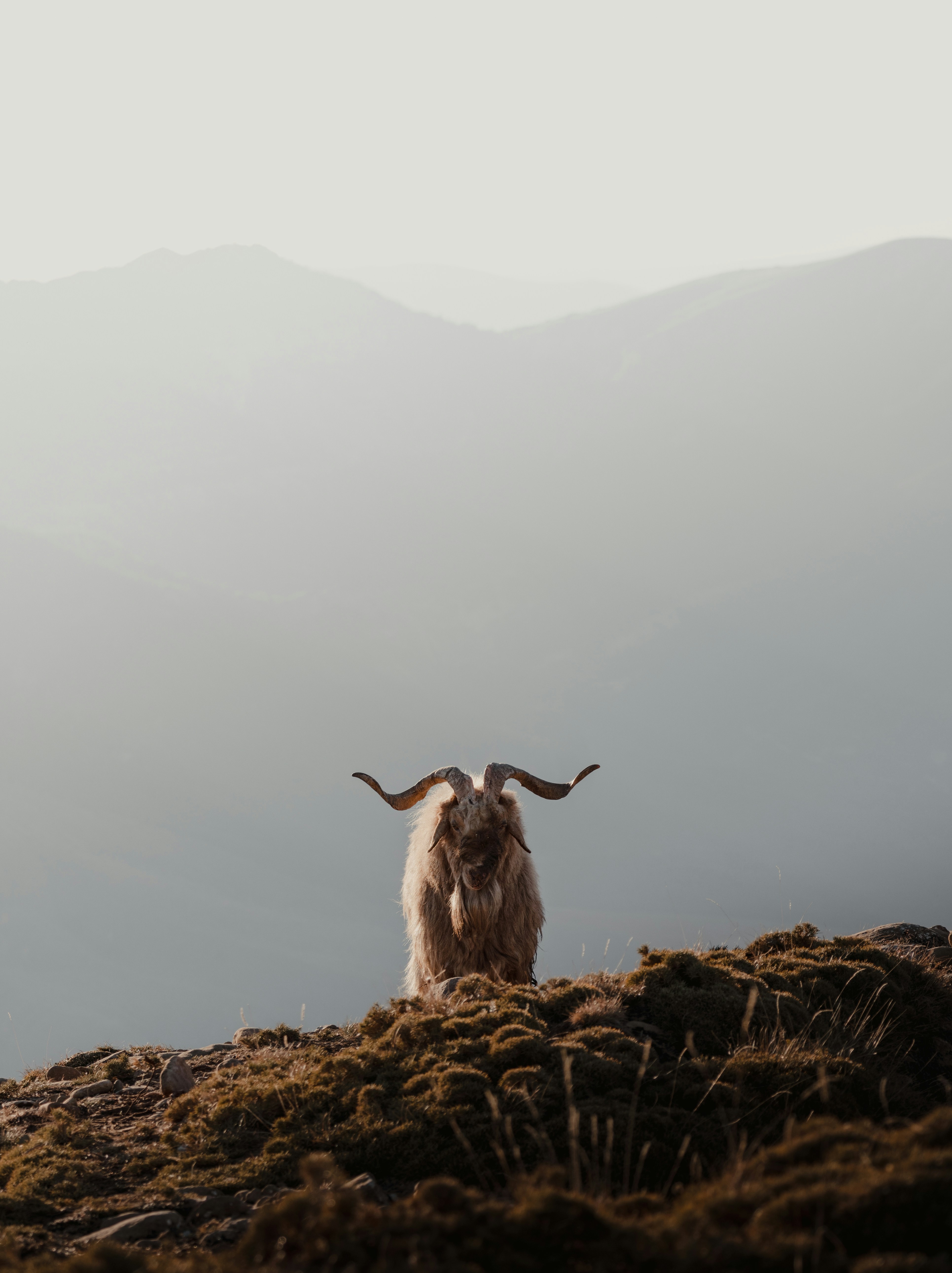 Photo by michielannaert