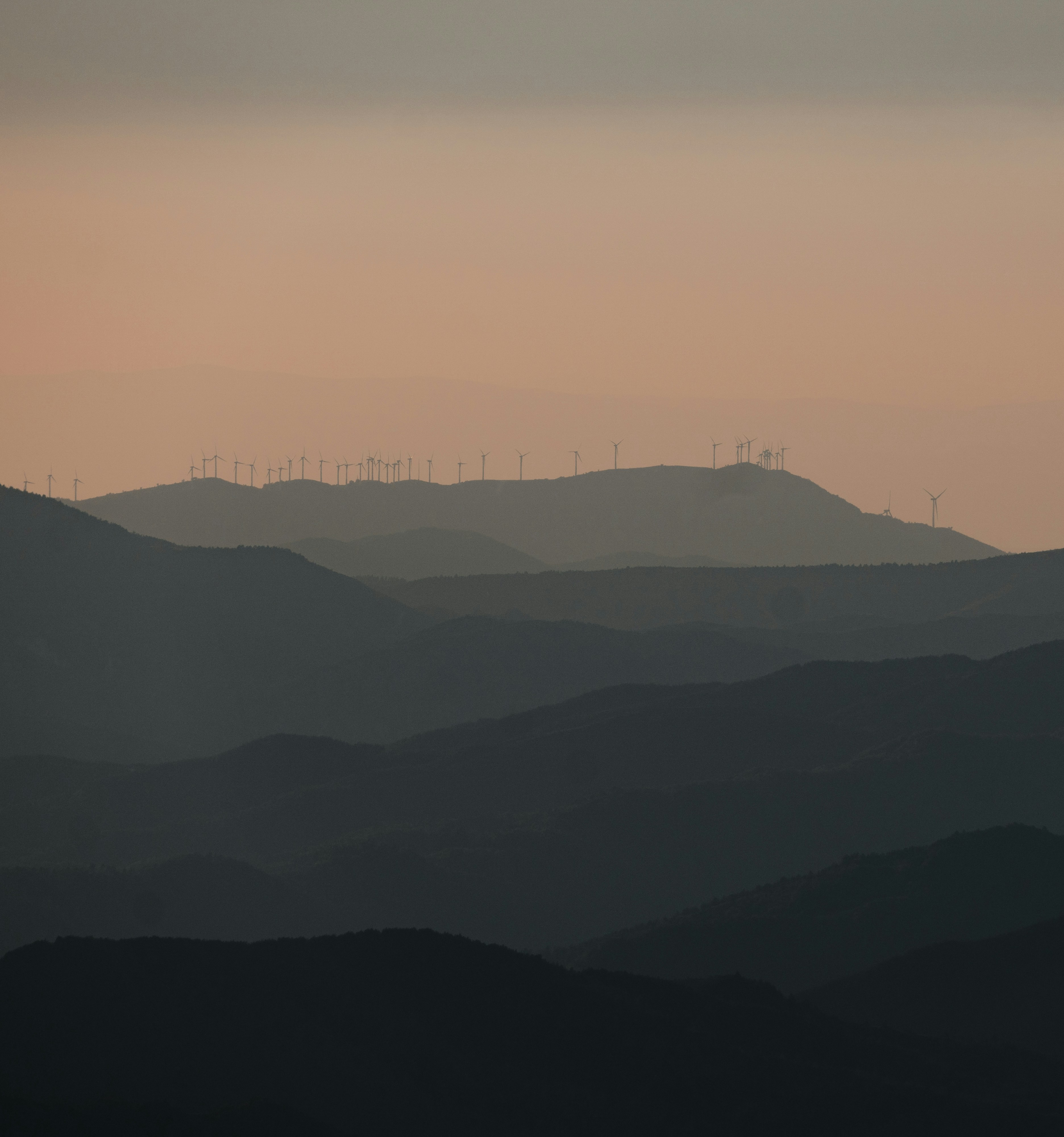 Photo by michielannaert