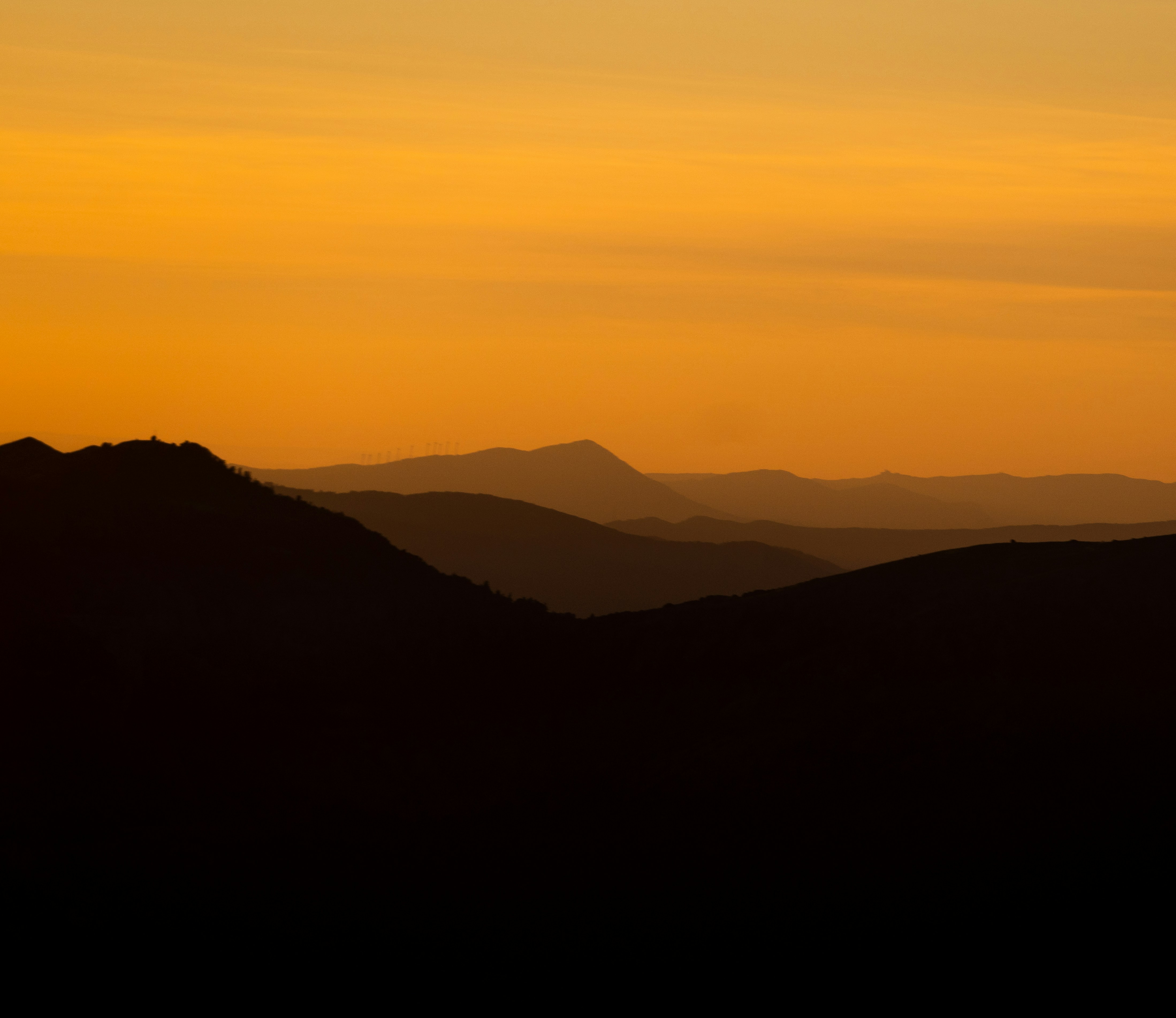 Photo by michielannaert