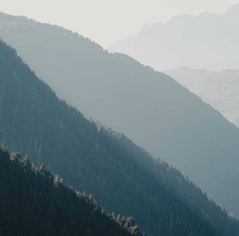 a view of a mountain range with trees in the foreground