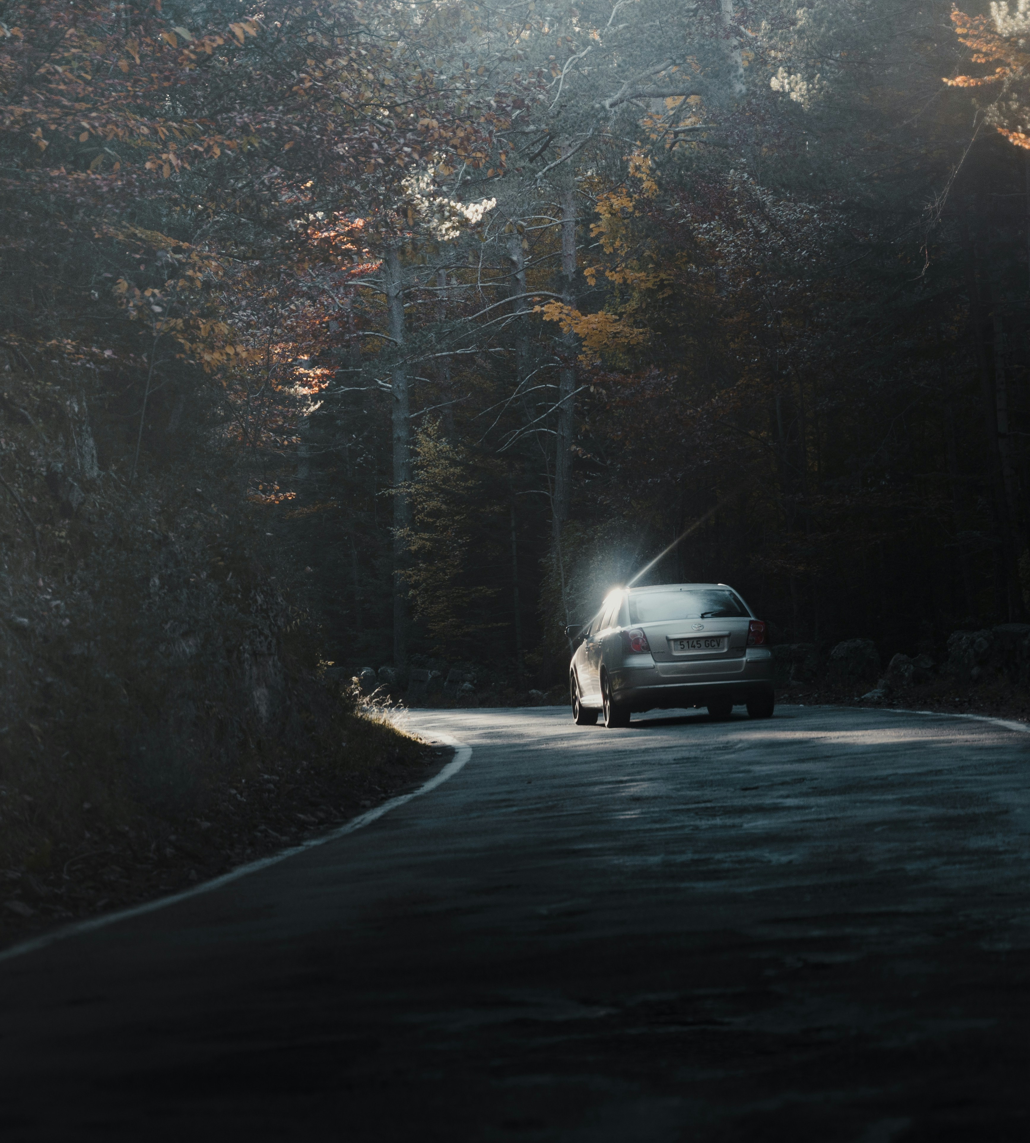 Photo by michielannaert