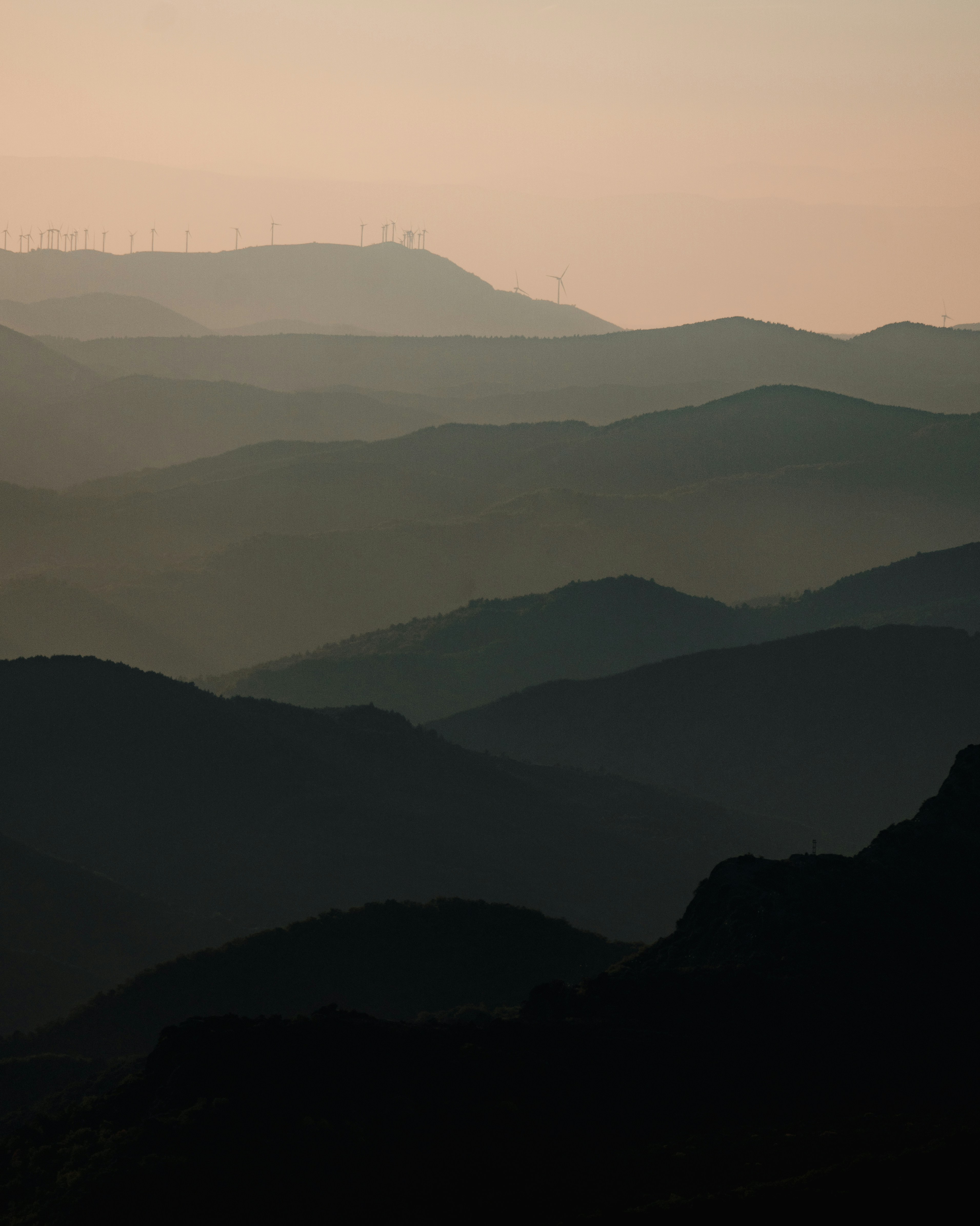 Photo by michielannaert