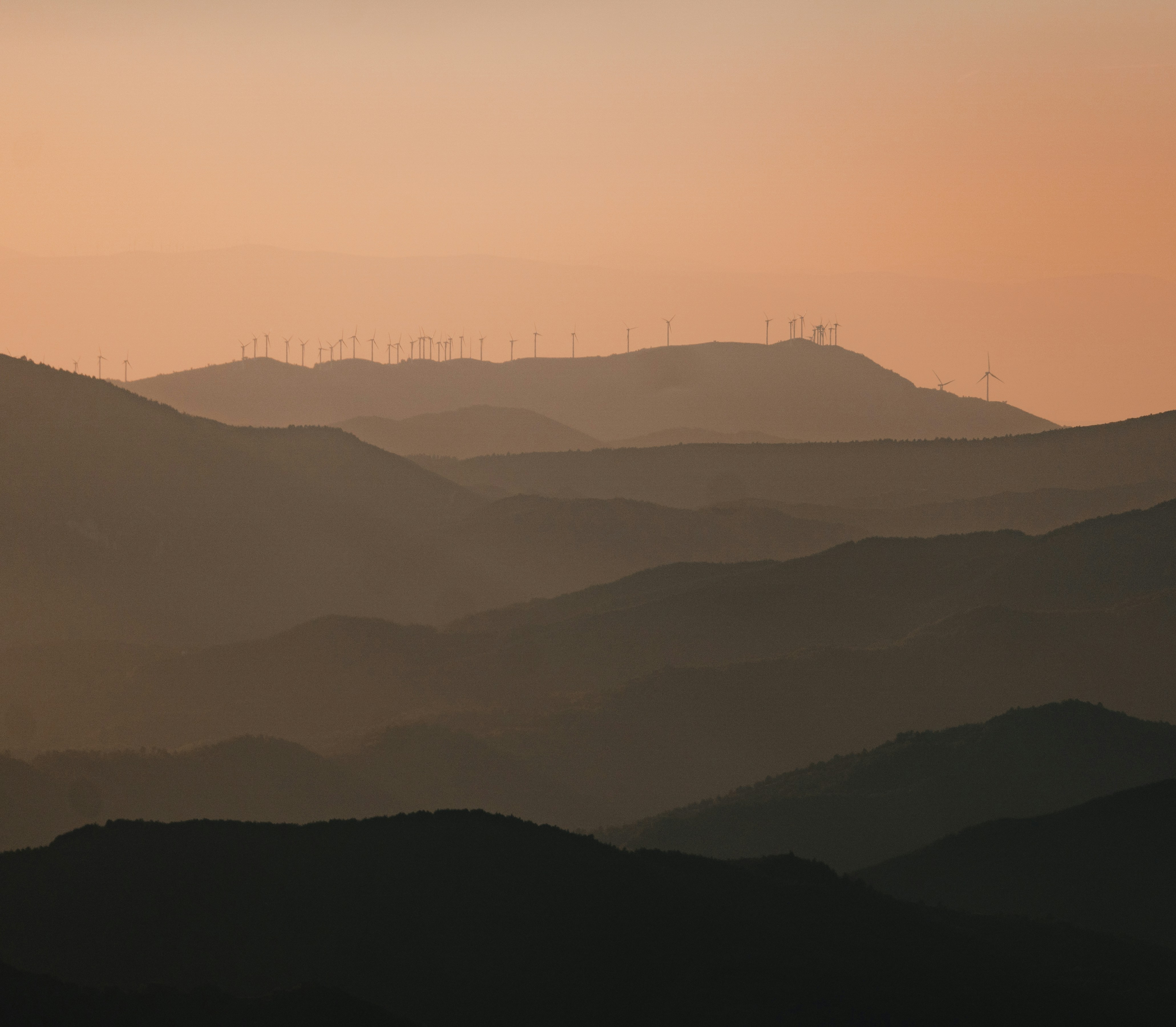 Photo by michielannaert