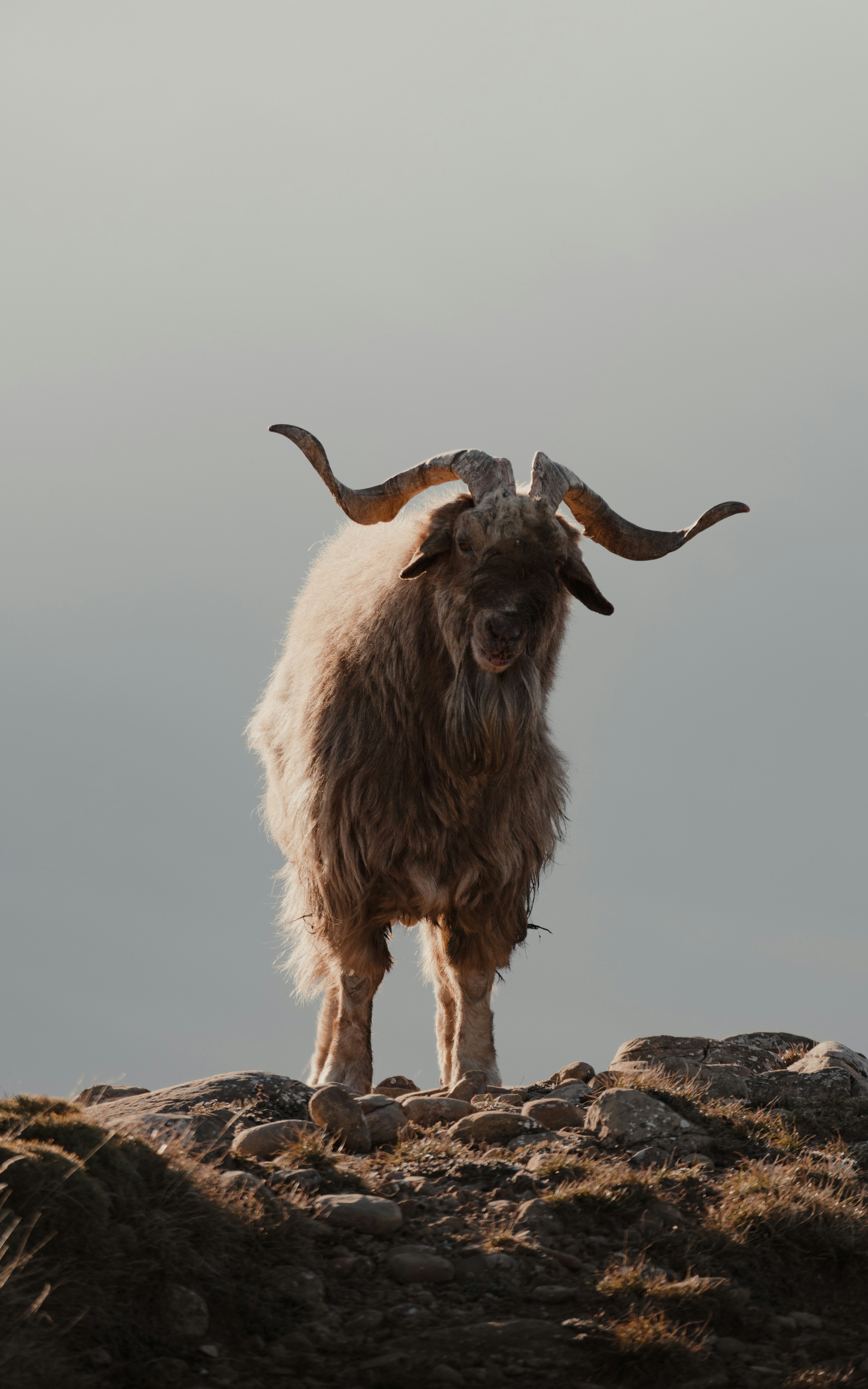 Photo by michielannaert