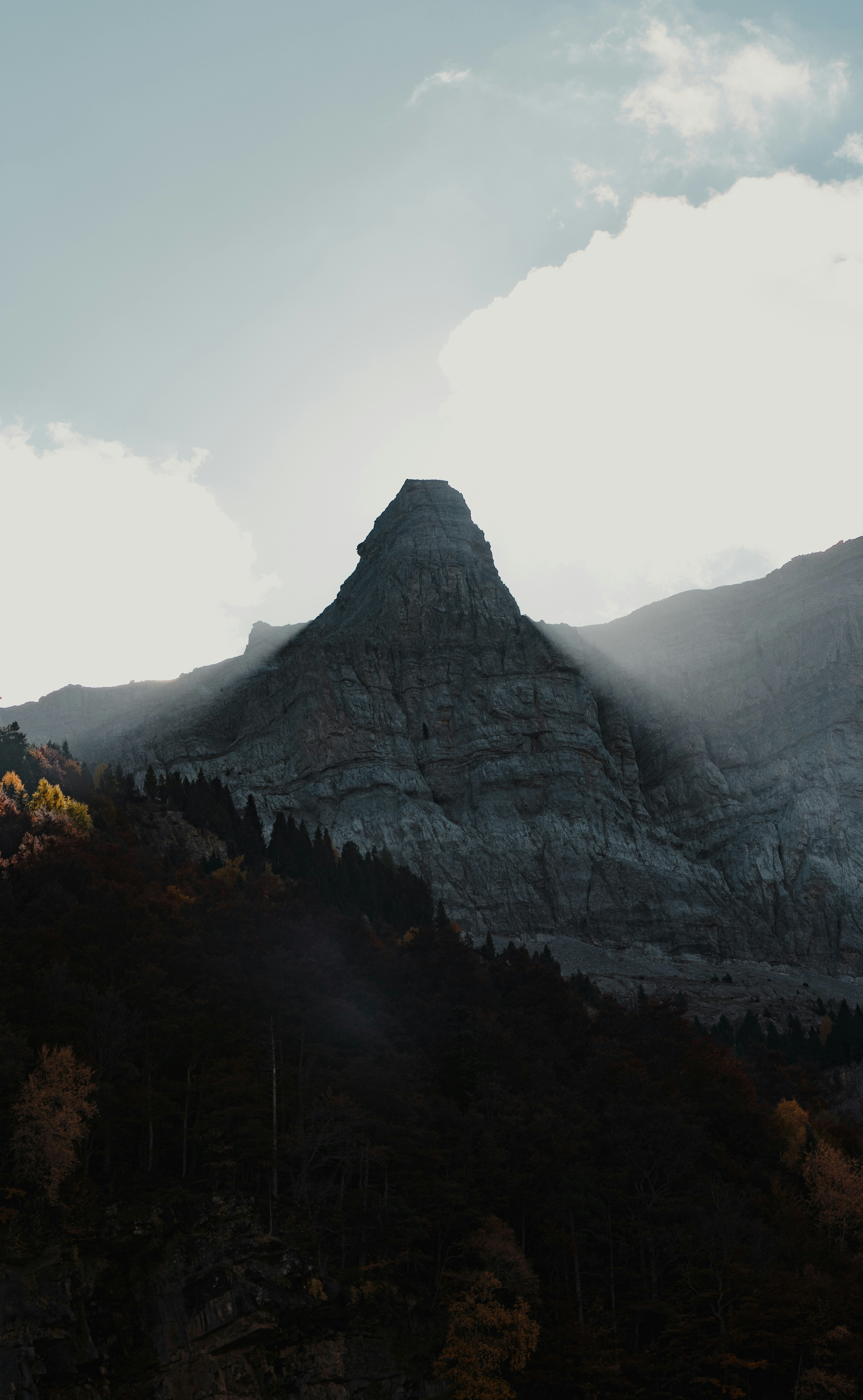 Photo by michielannaert