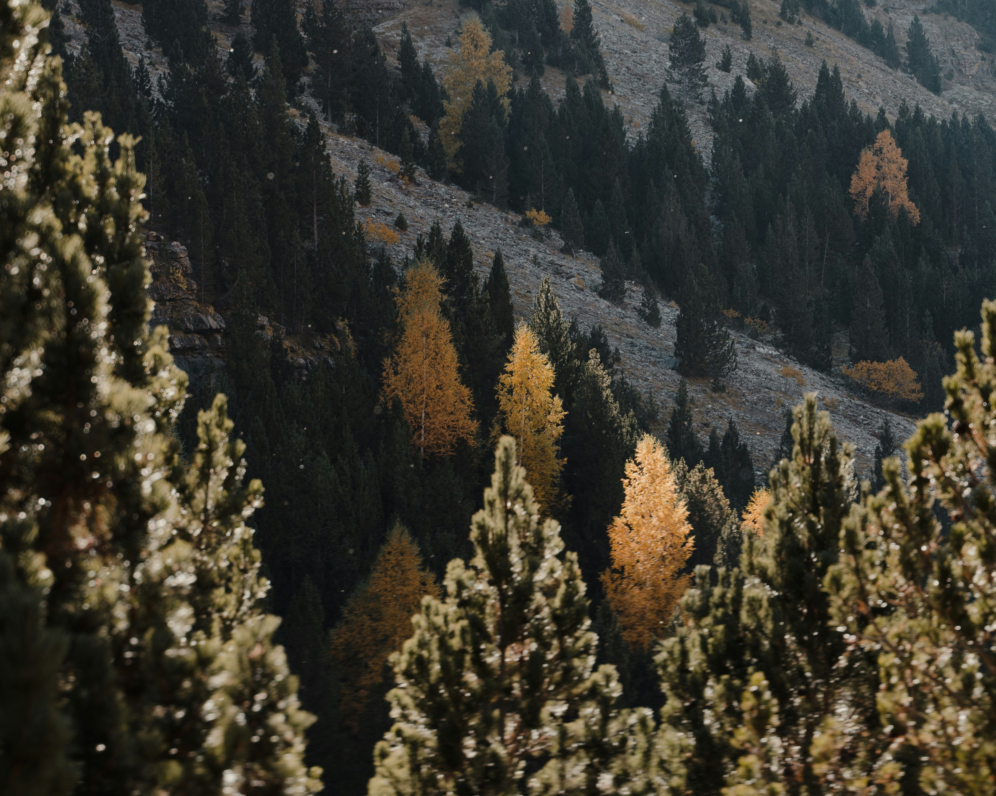 Photo by michielannaert