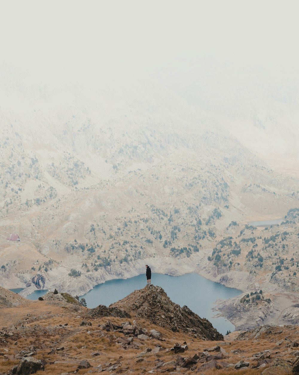 Un uccello solitario in piedi sulla cima di una montagna