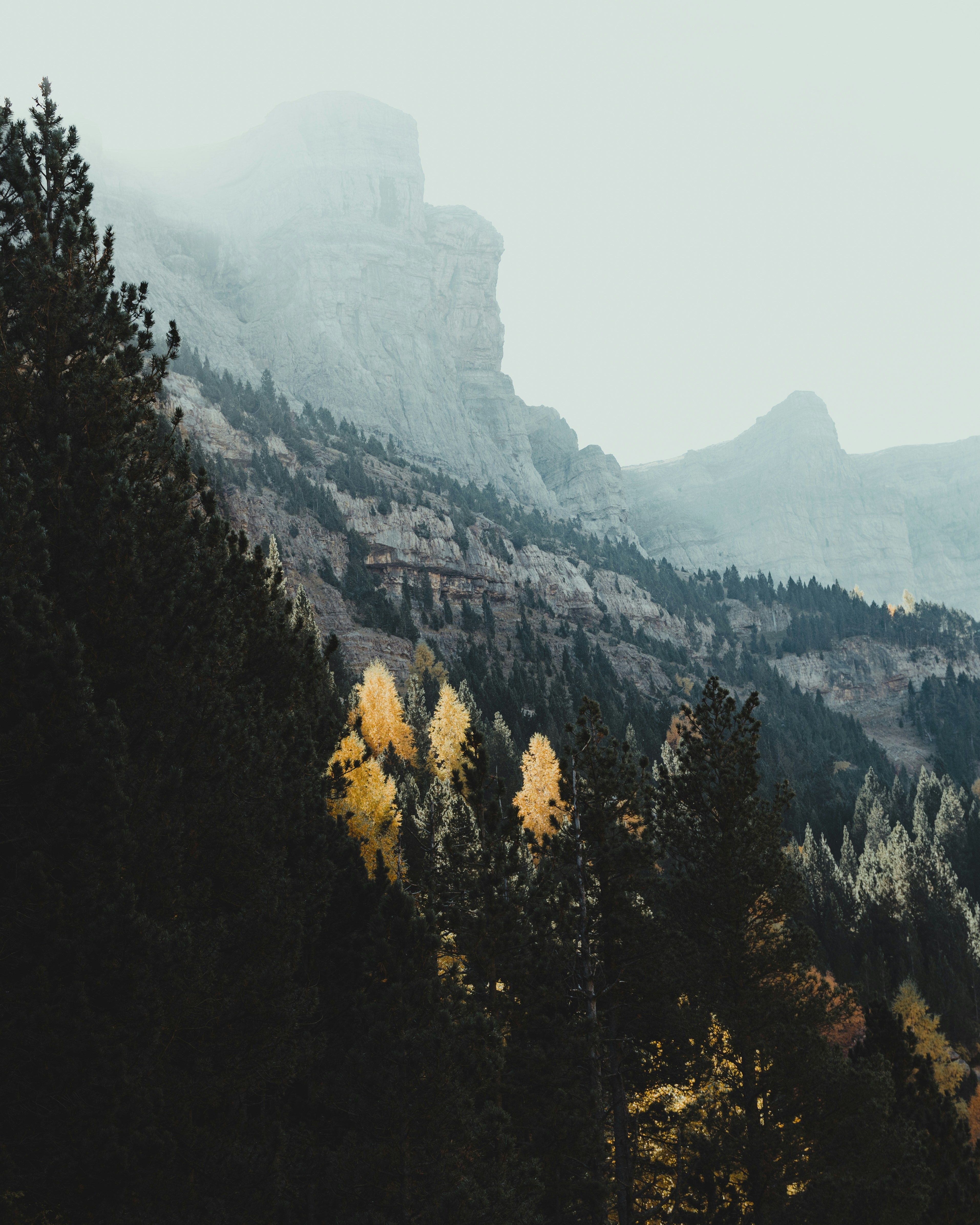 Photo by michielannaert