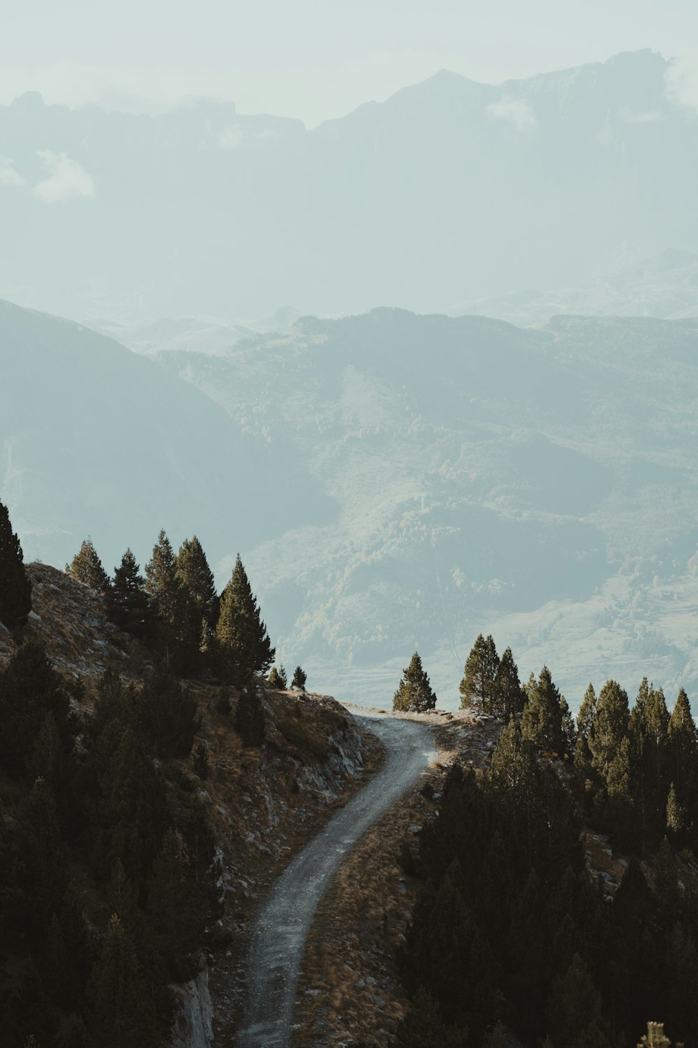 a dirt road going through a forest with mountains in the background