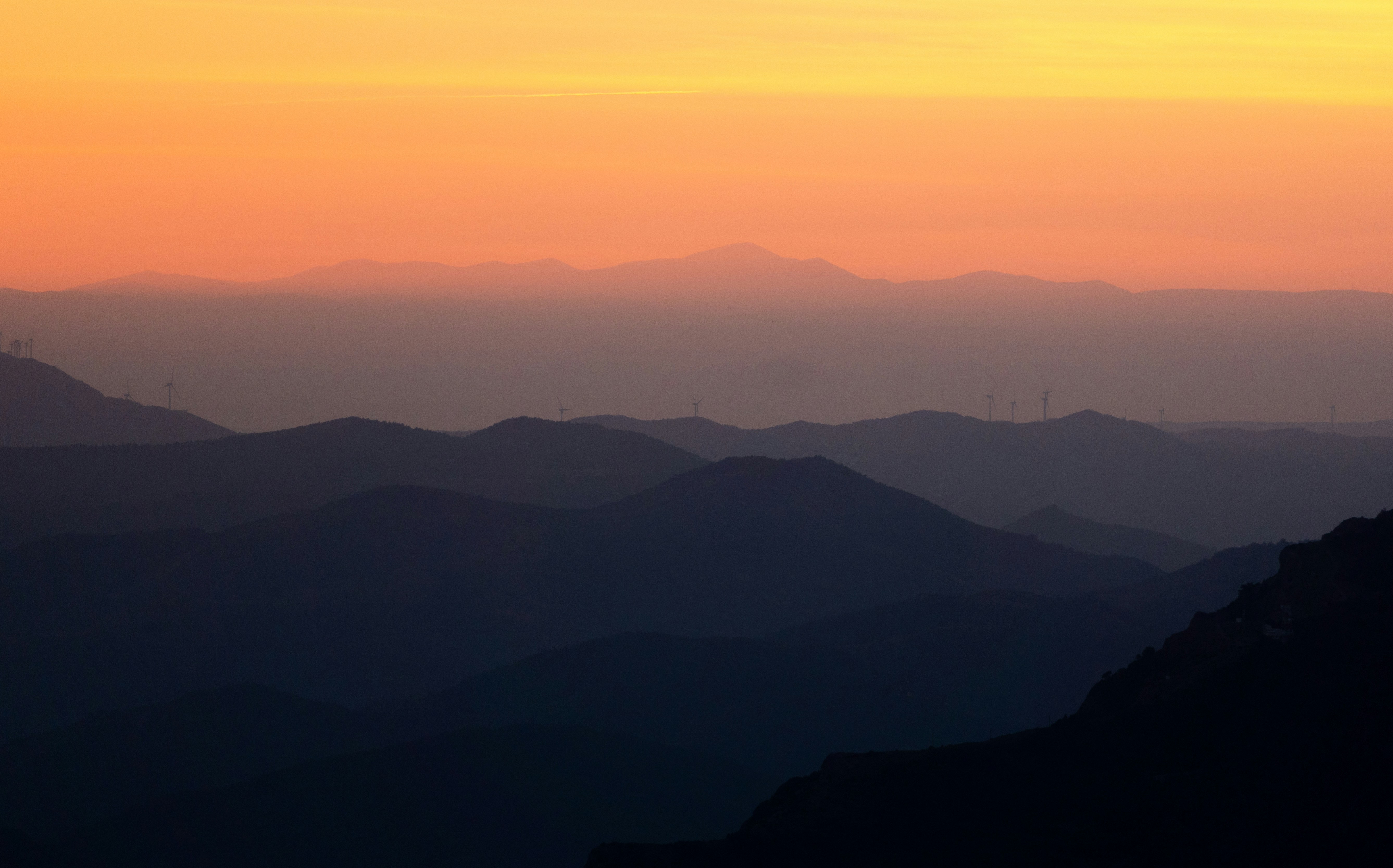 Photo by michielannaert