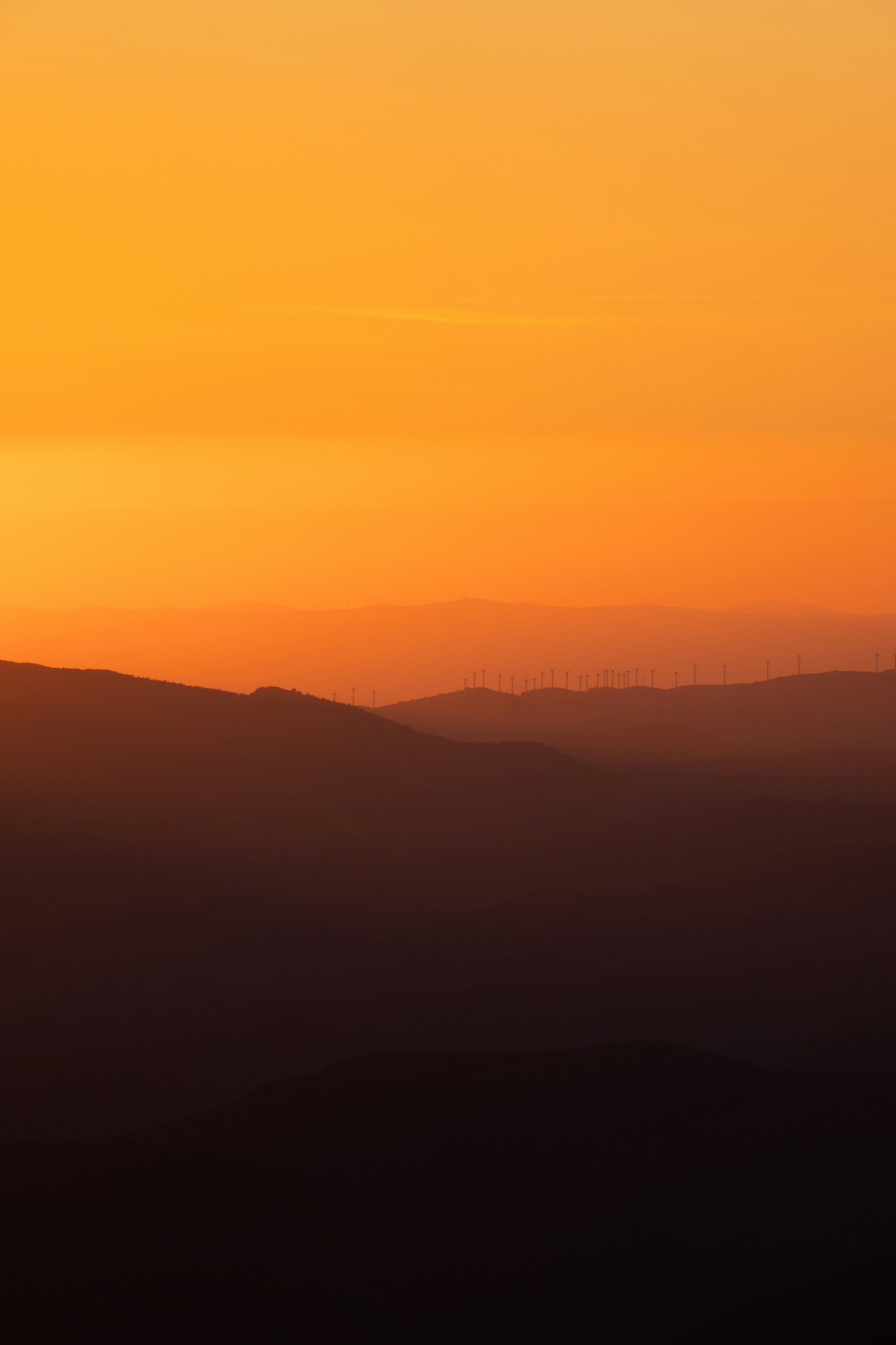 Photo by michielannaert